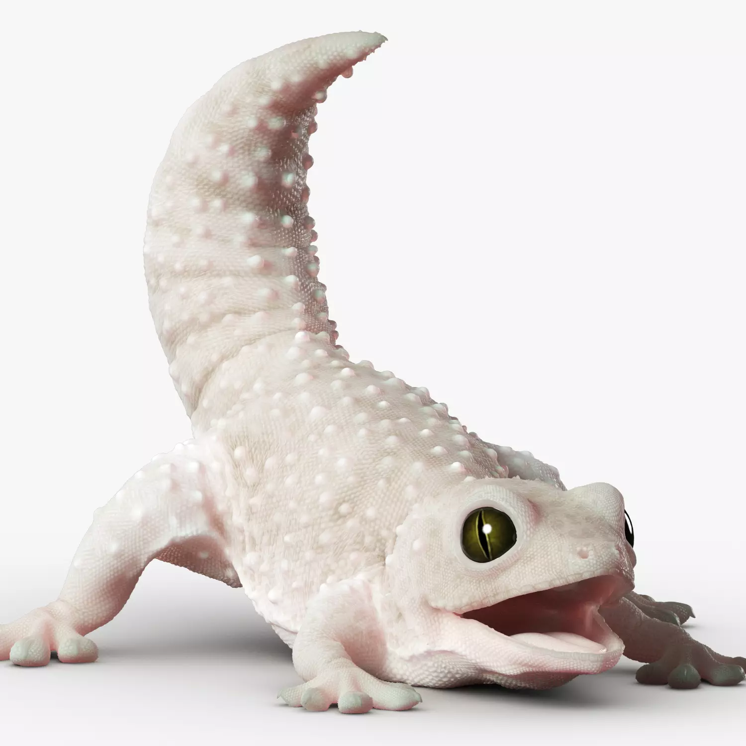 Gecko Reptile 3DS Max 3D model
