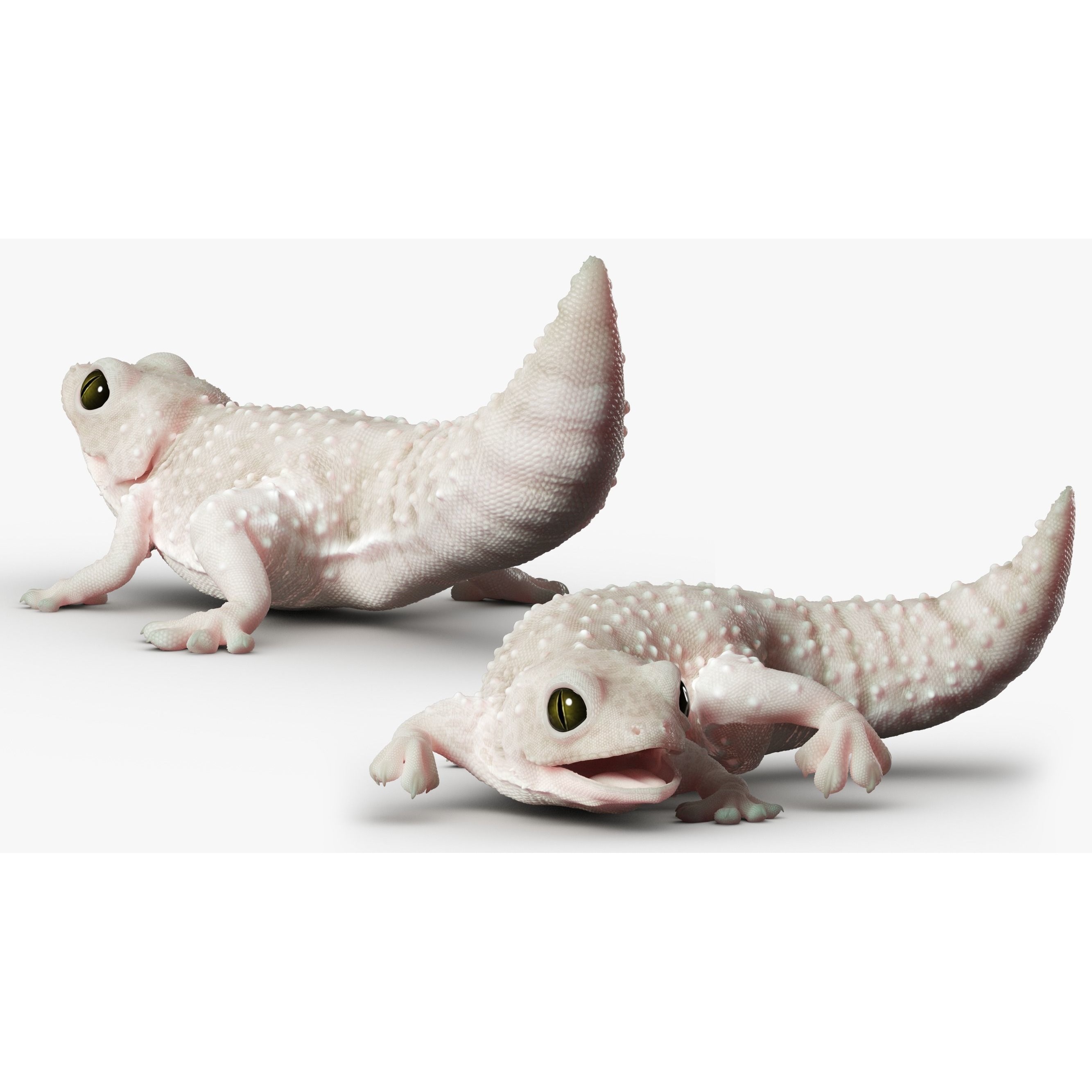 Gecko Reptile 3DS Max 3D model 3