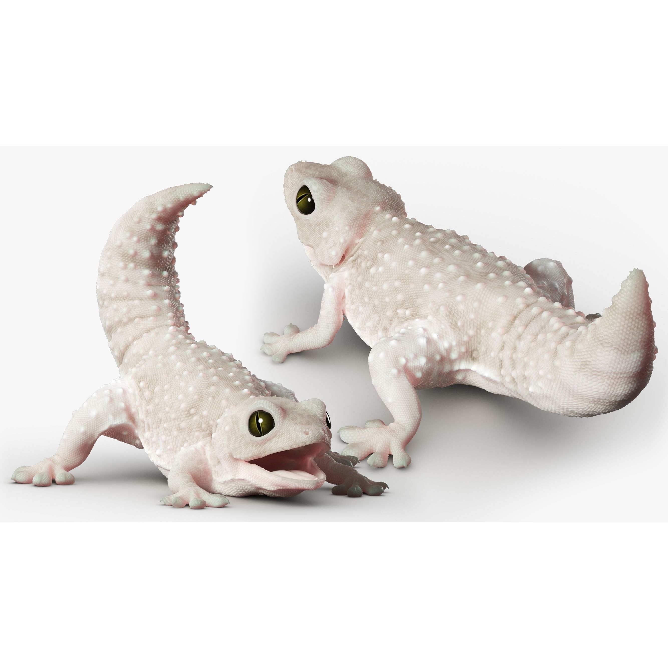 Gecko Reptile 3DS Max 3D model 4