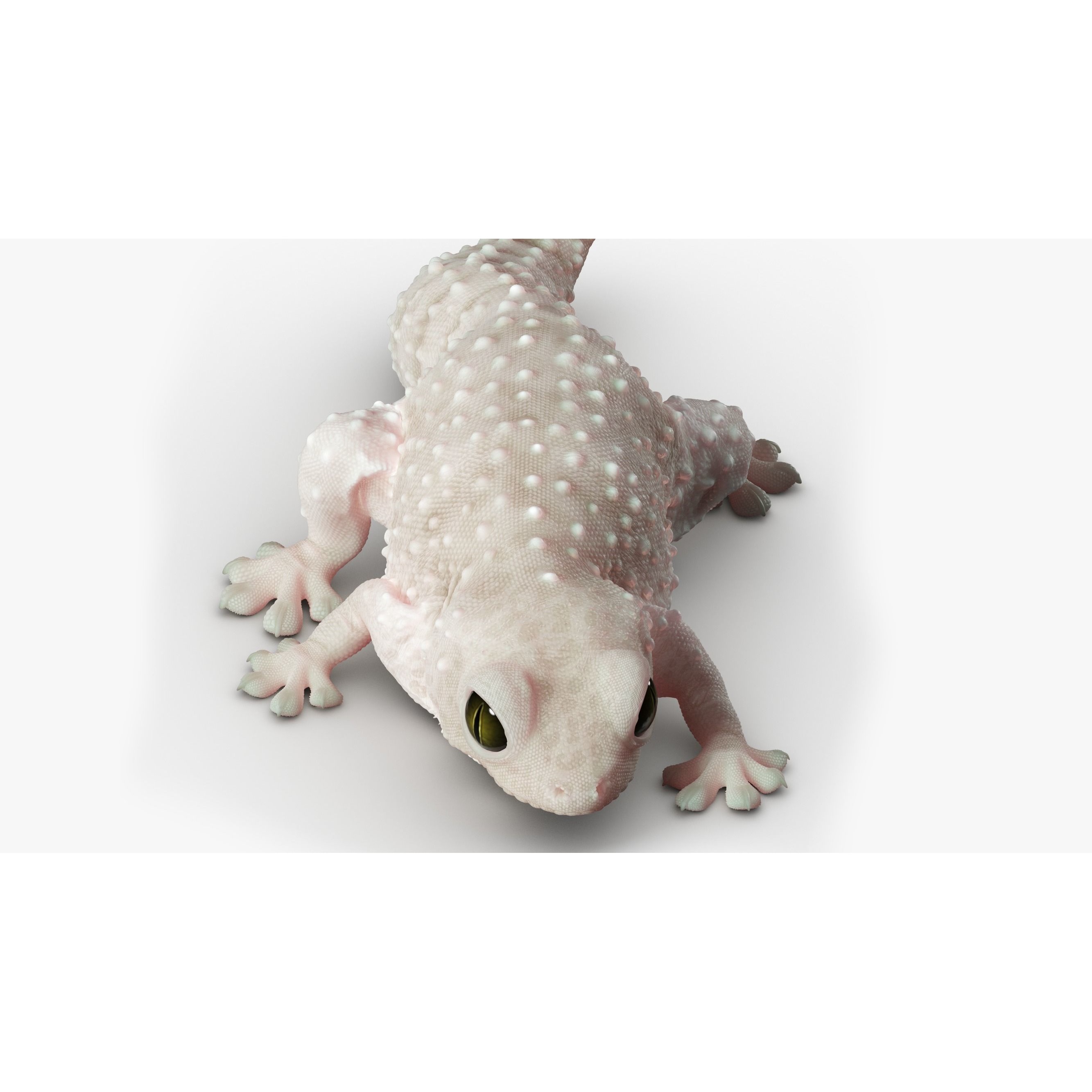 Gecko Reptile 3DS Max 3D model 7