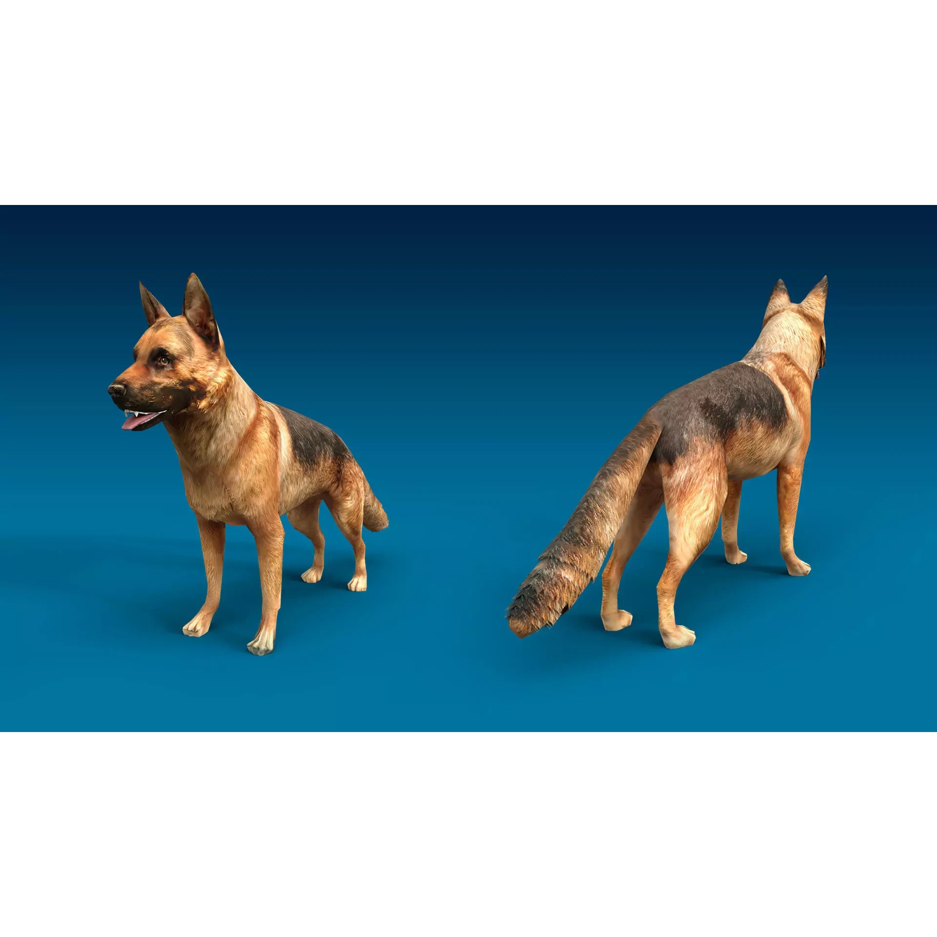 German Shepherd 3D Model Free low-poly 3D model 2