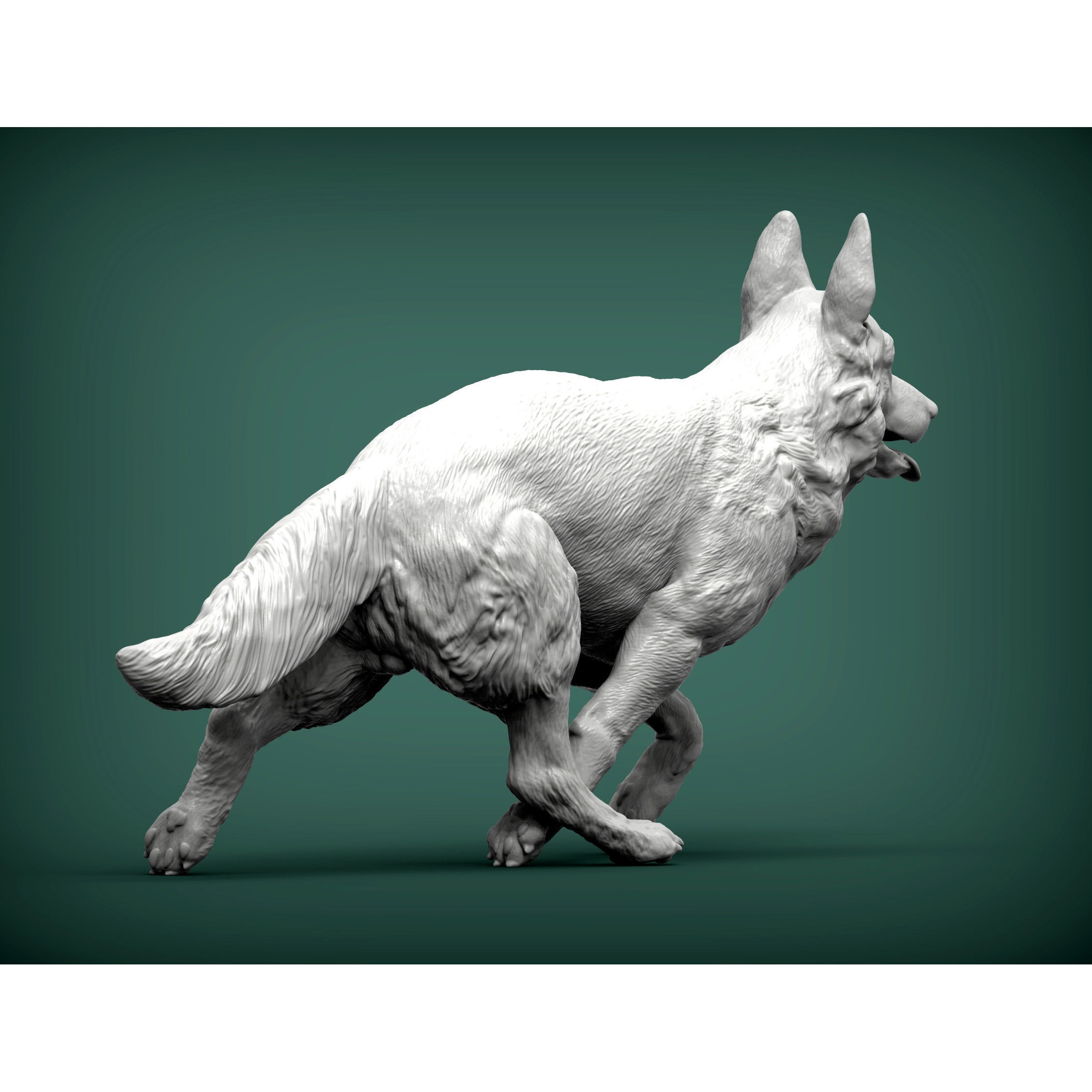German Shepherd 3D print model 5