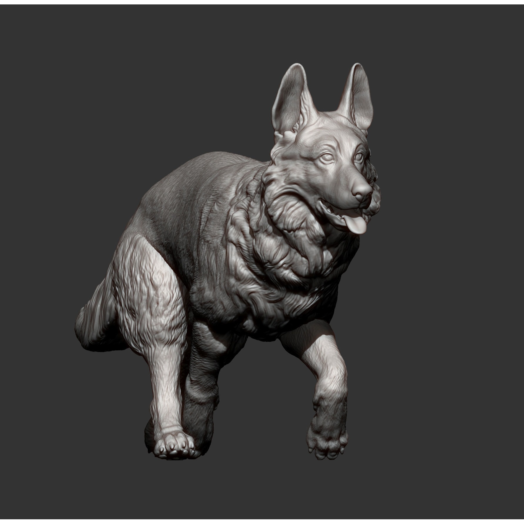 German Shepherd 3D print model 7