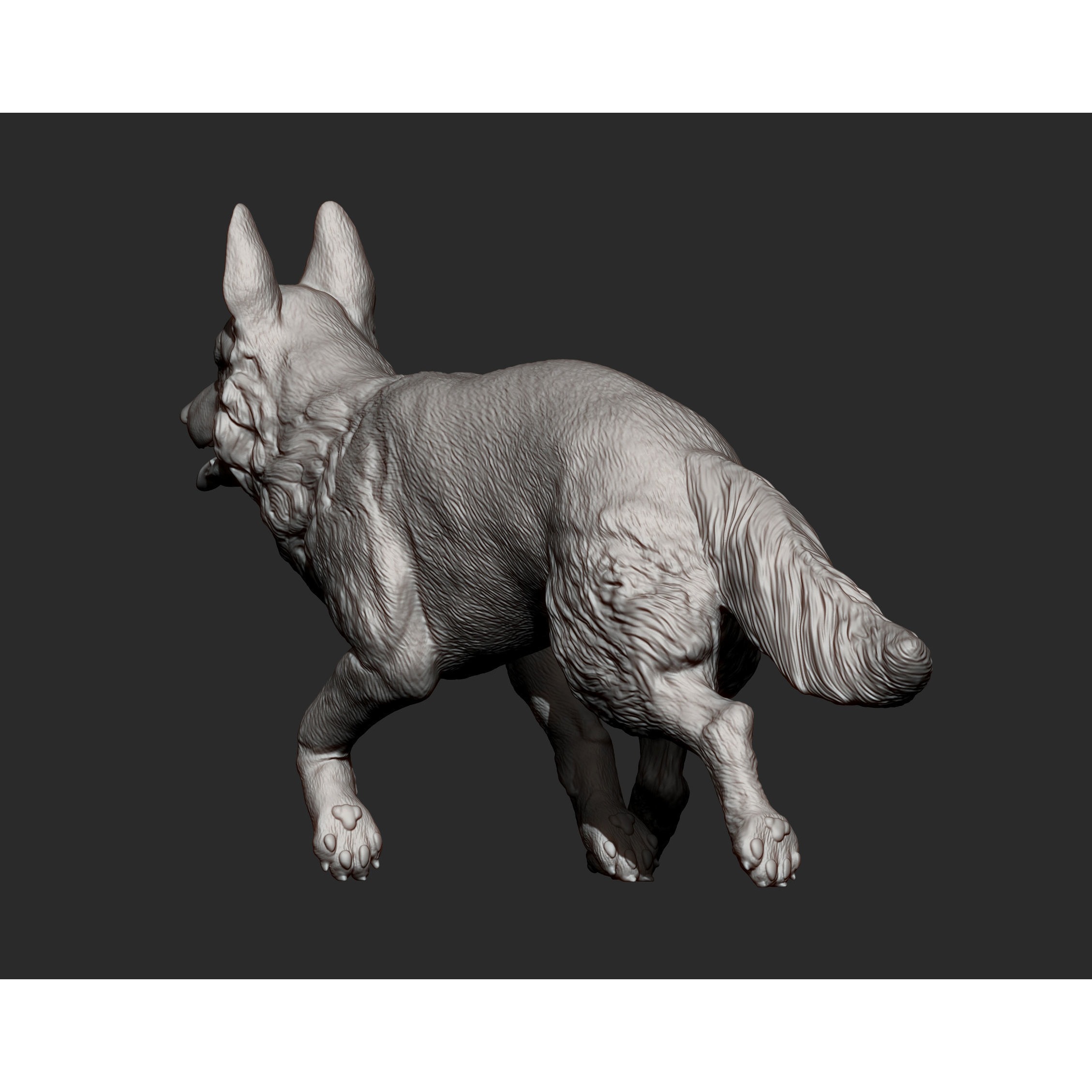 German Shepherd 3D print model 8