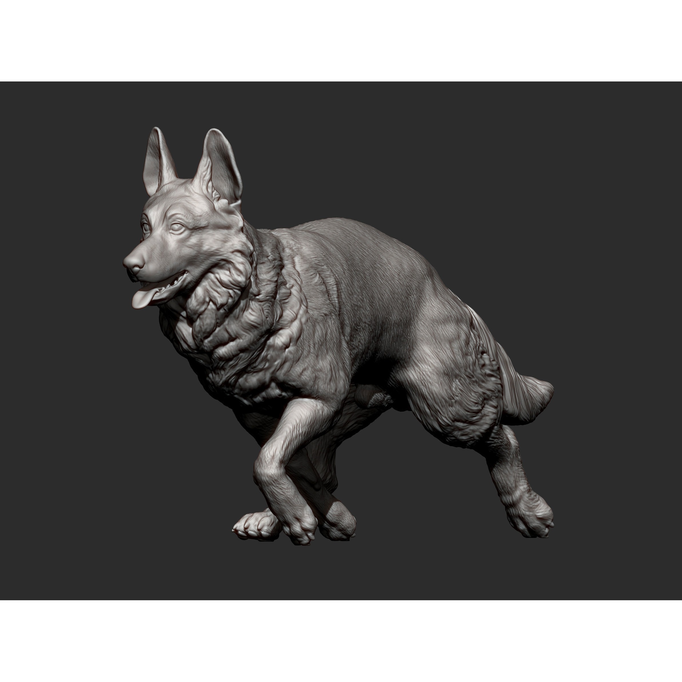 German Shepherd 3D print model 9