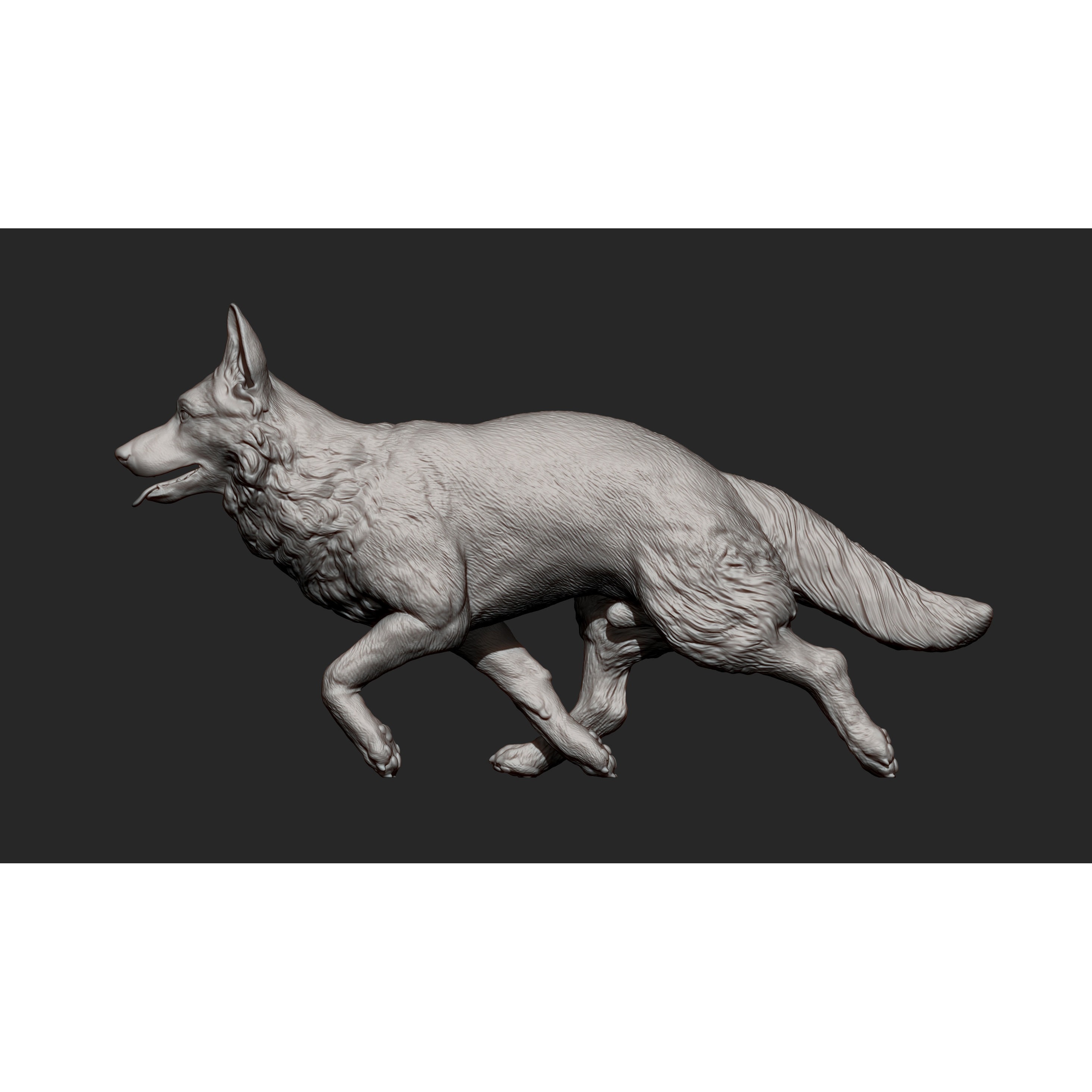 German Shepherd 3D print model 10