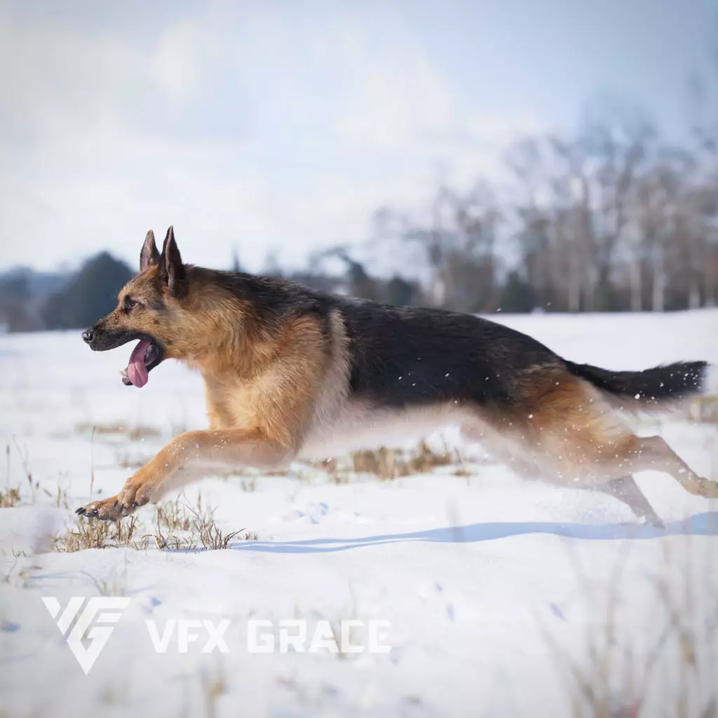 German Shepherd Animated 3D model