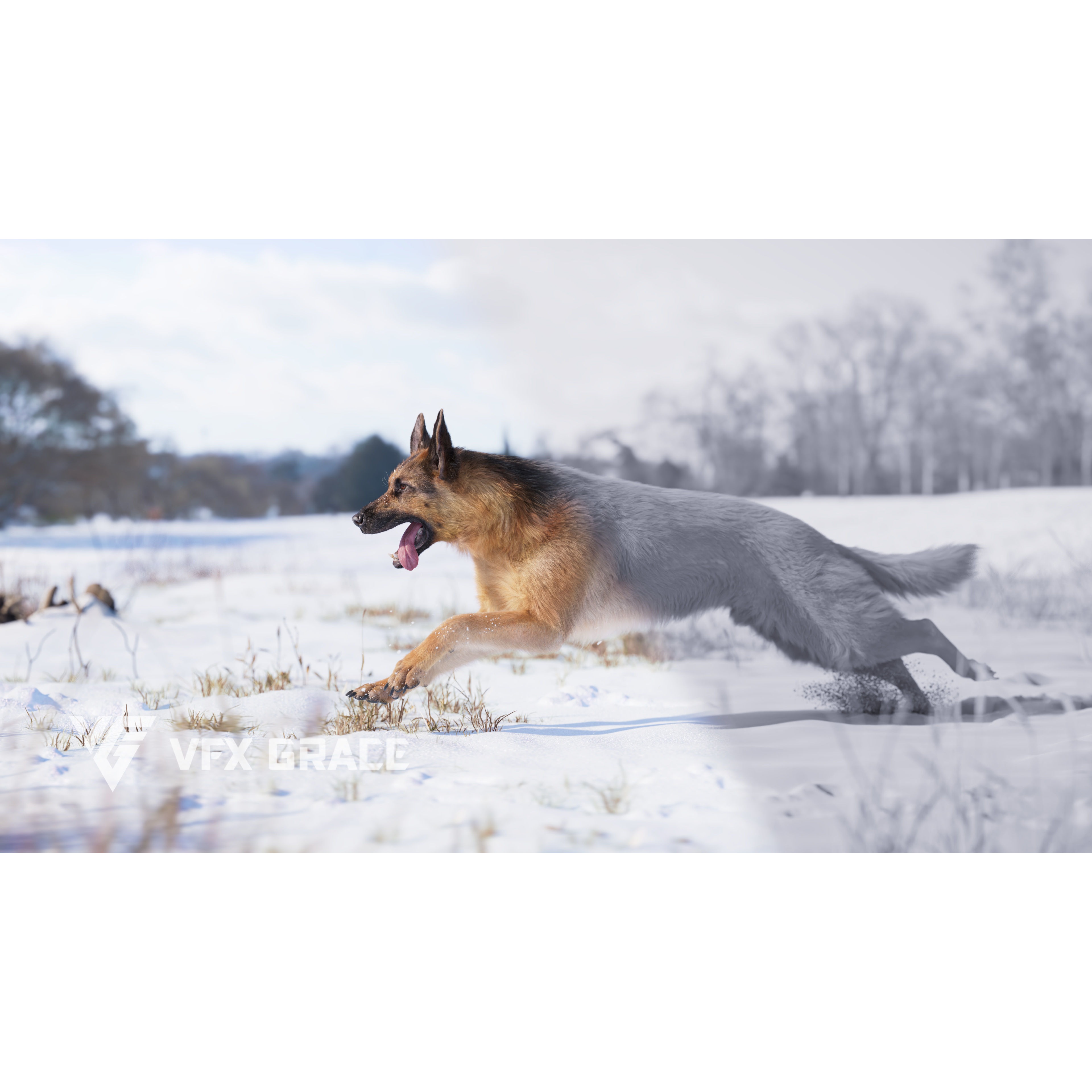 German Shepherd Animated 3D model 2