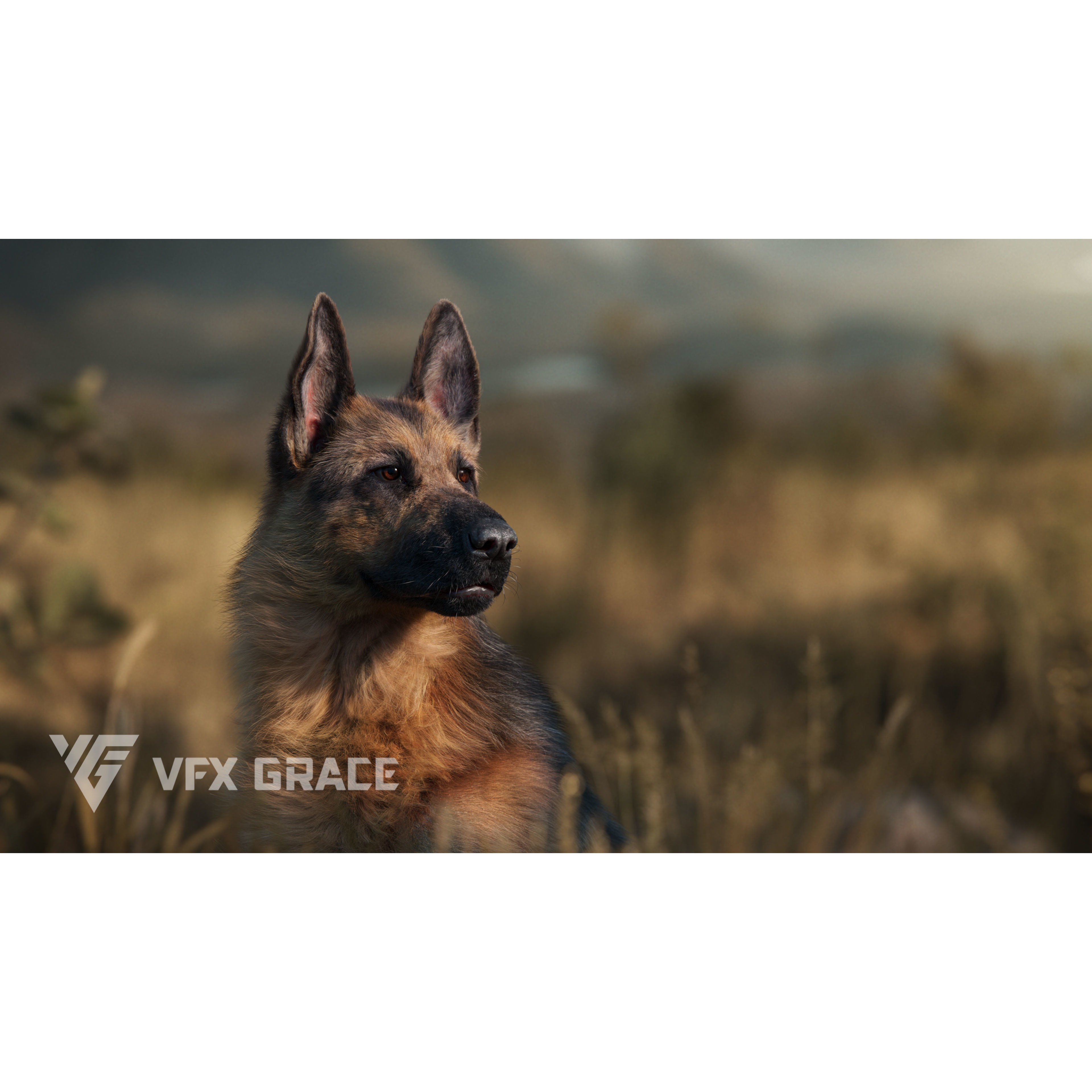 German Shepherd Animated 3D model 3