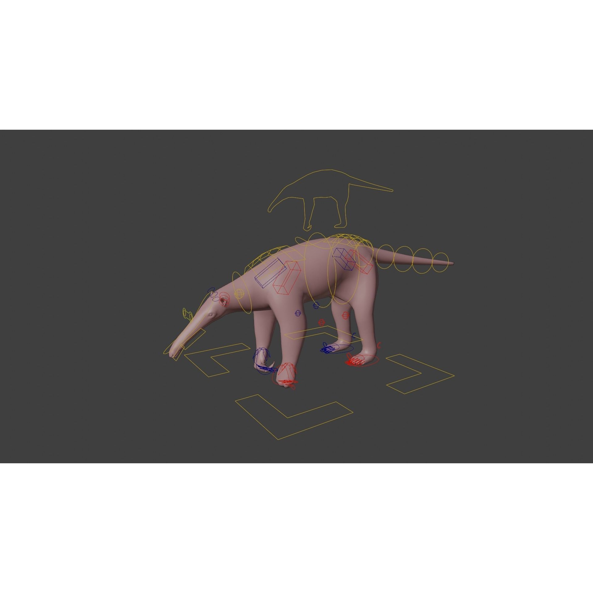 Giant Anteater Animated 3D model 8