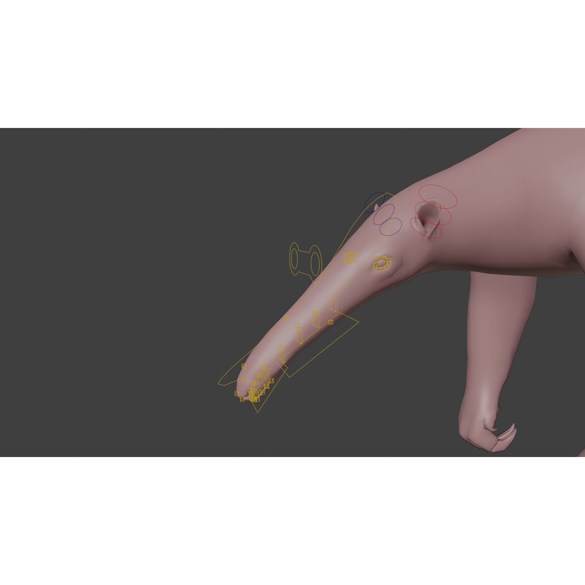 Giant Anteater Animated 3D model 9
