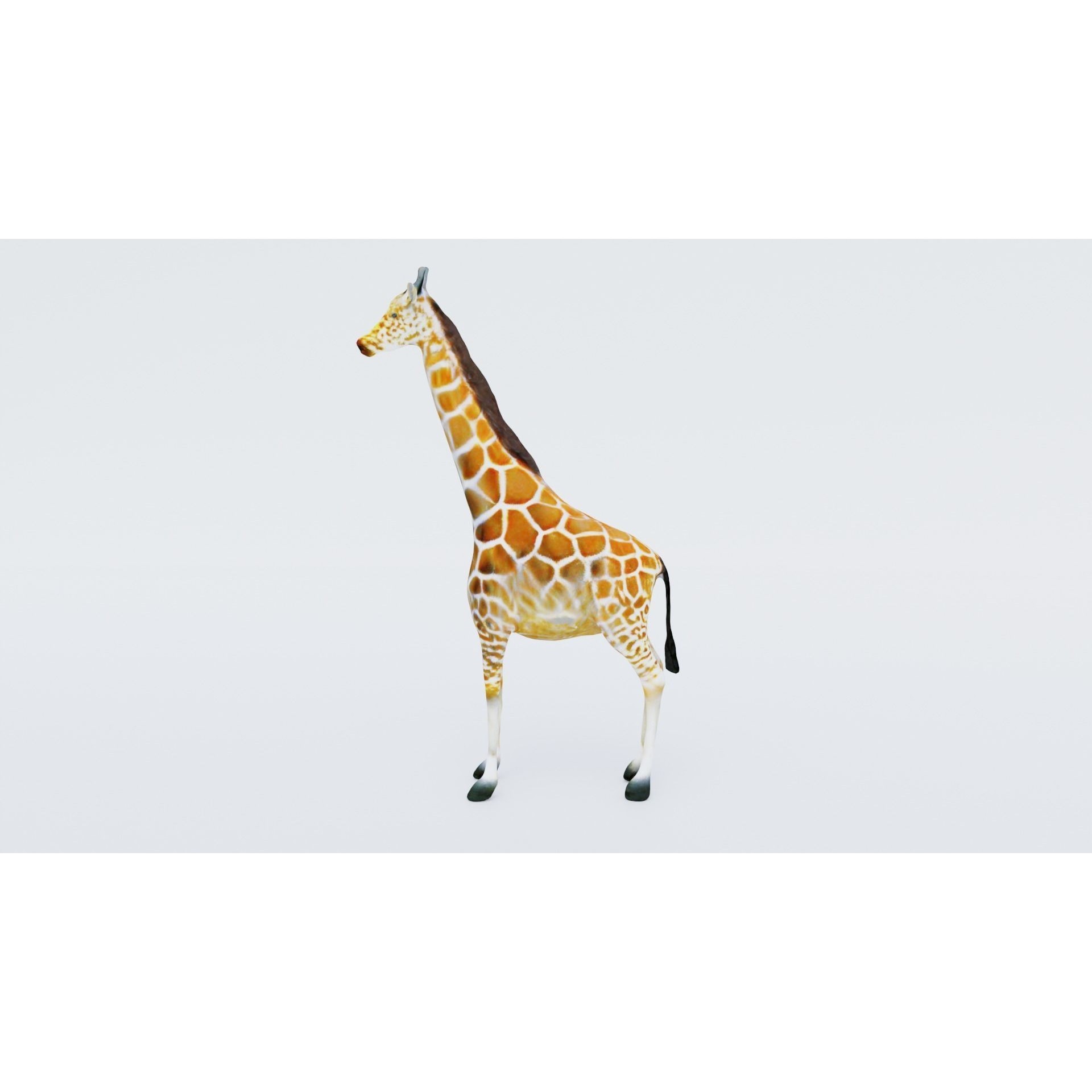 Giraffe Free 3D model 2