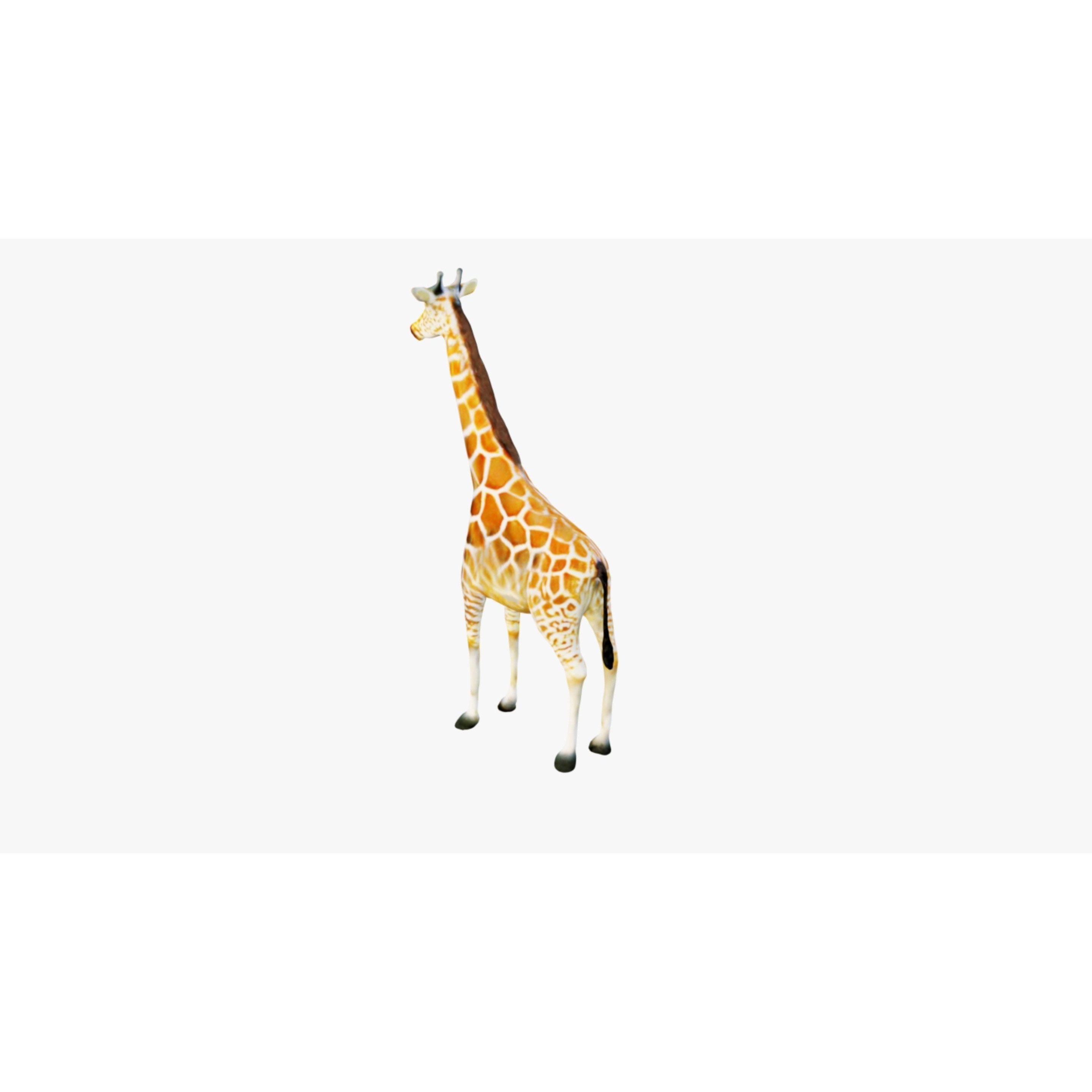 Giraffe Free 3D model 4
