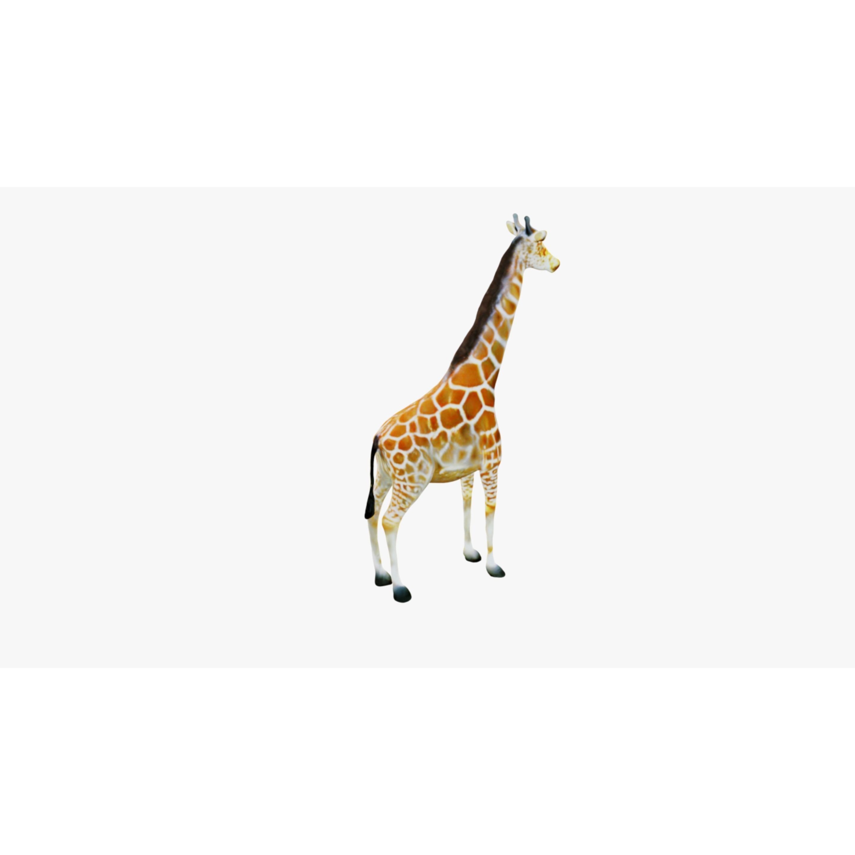 Giraffe Free 3D model 5