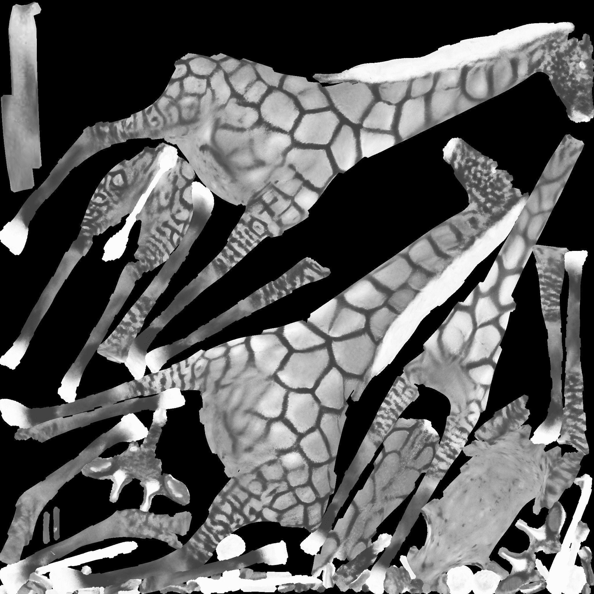 Giraffe Free 3D model 10