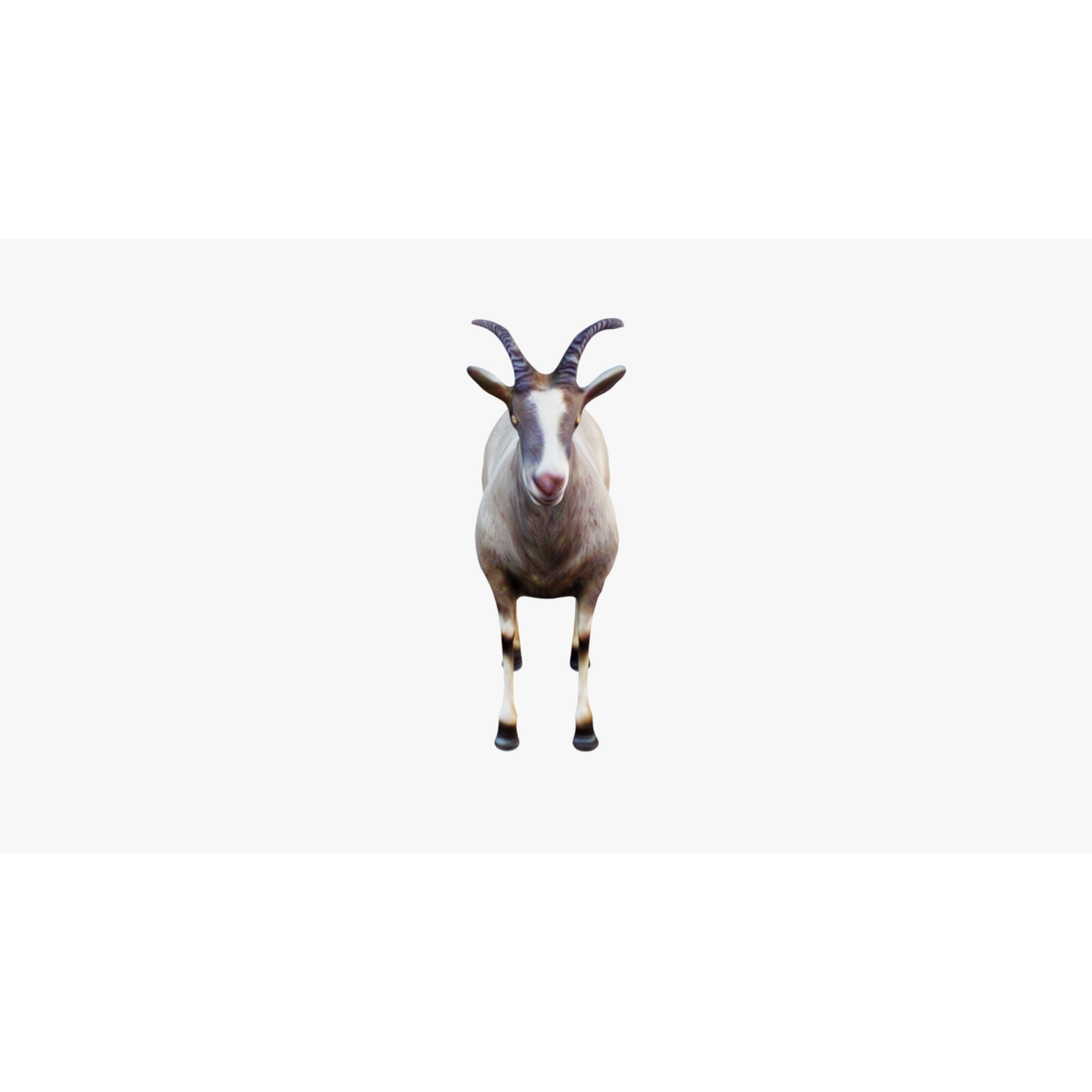 Goat Animal Free 3D model 3