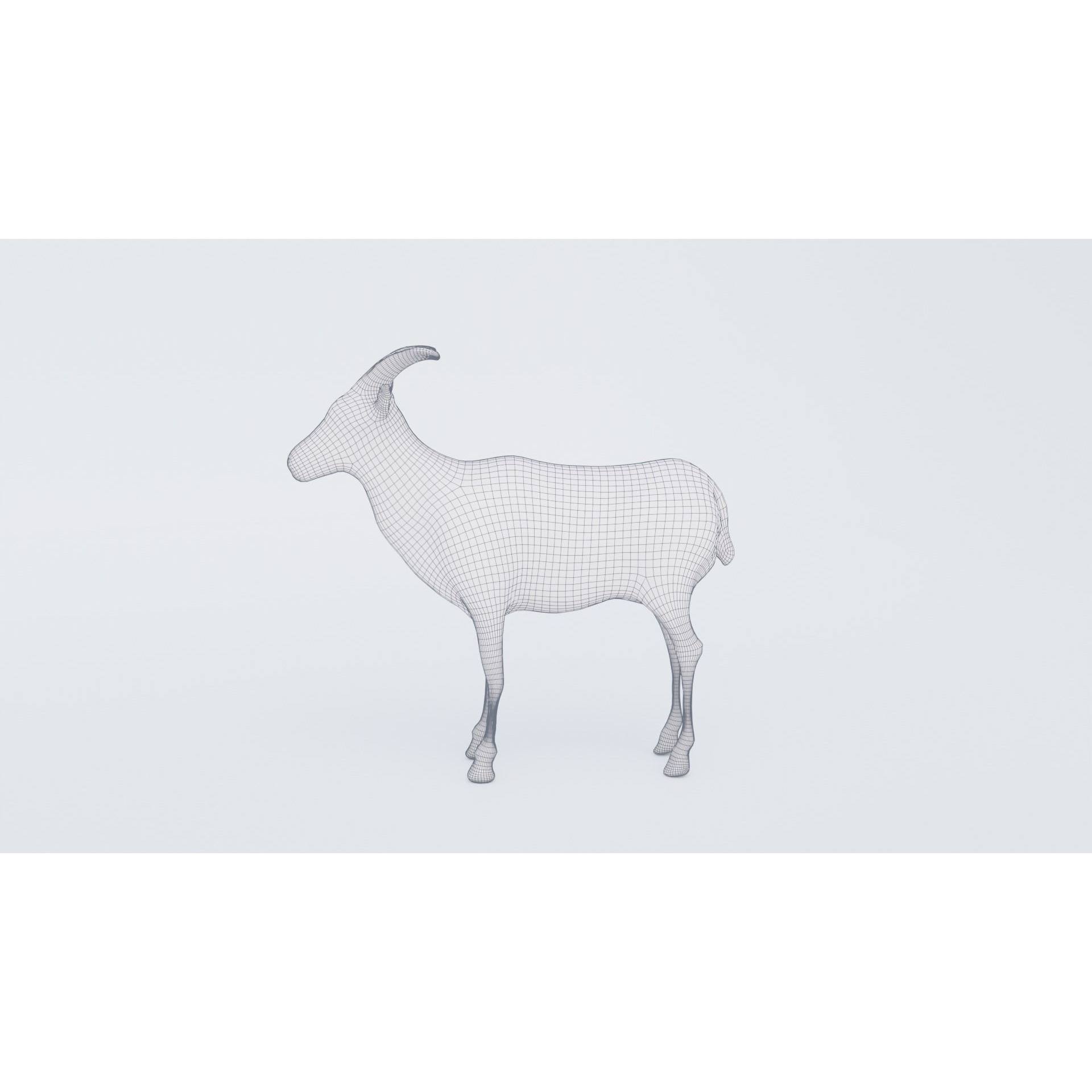 Goat Animal Free 3D model 7