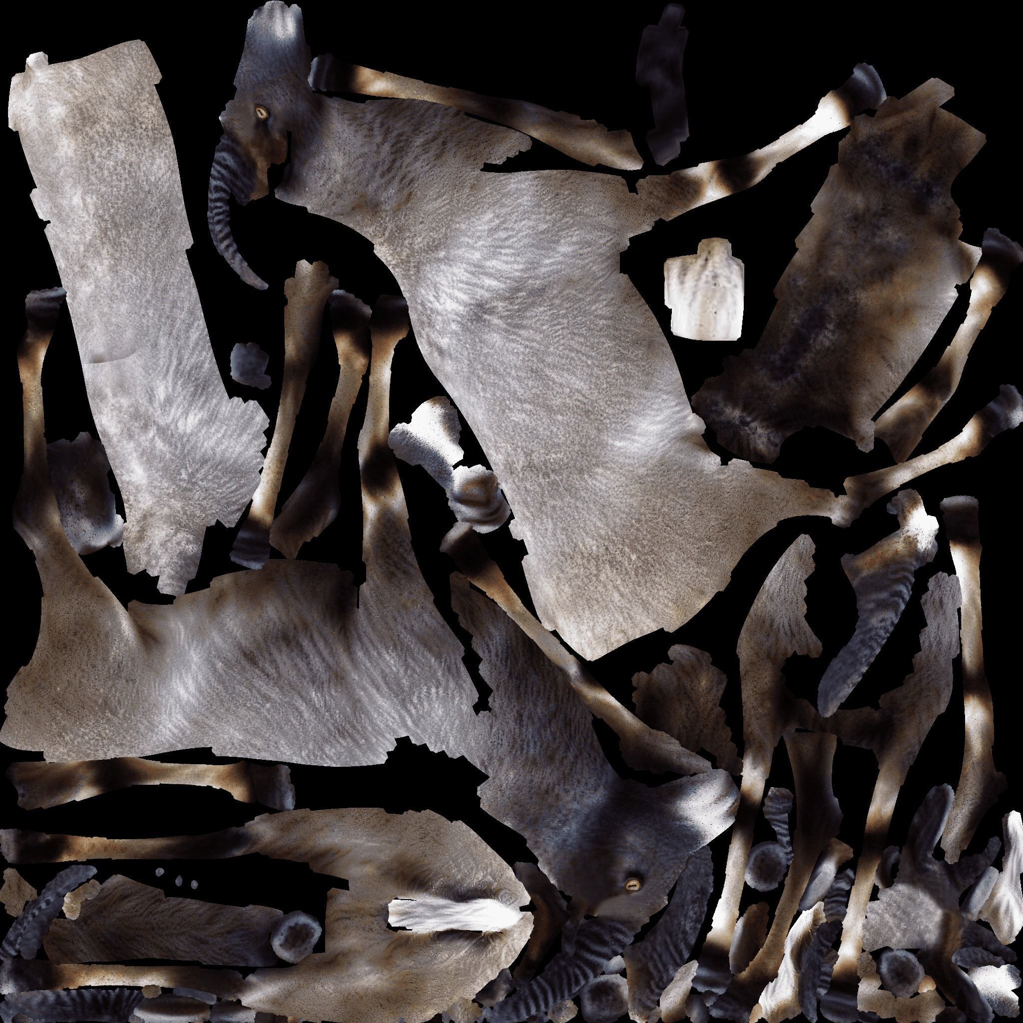 Goat Animal Free 3D model 8