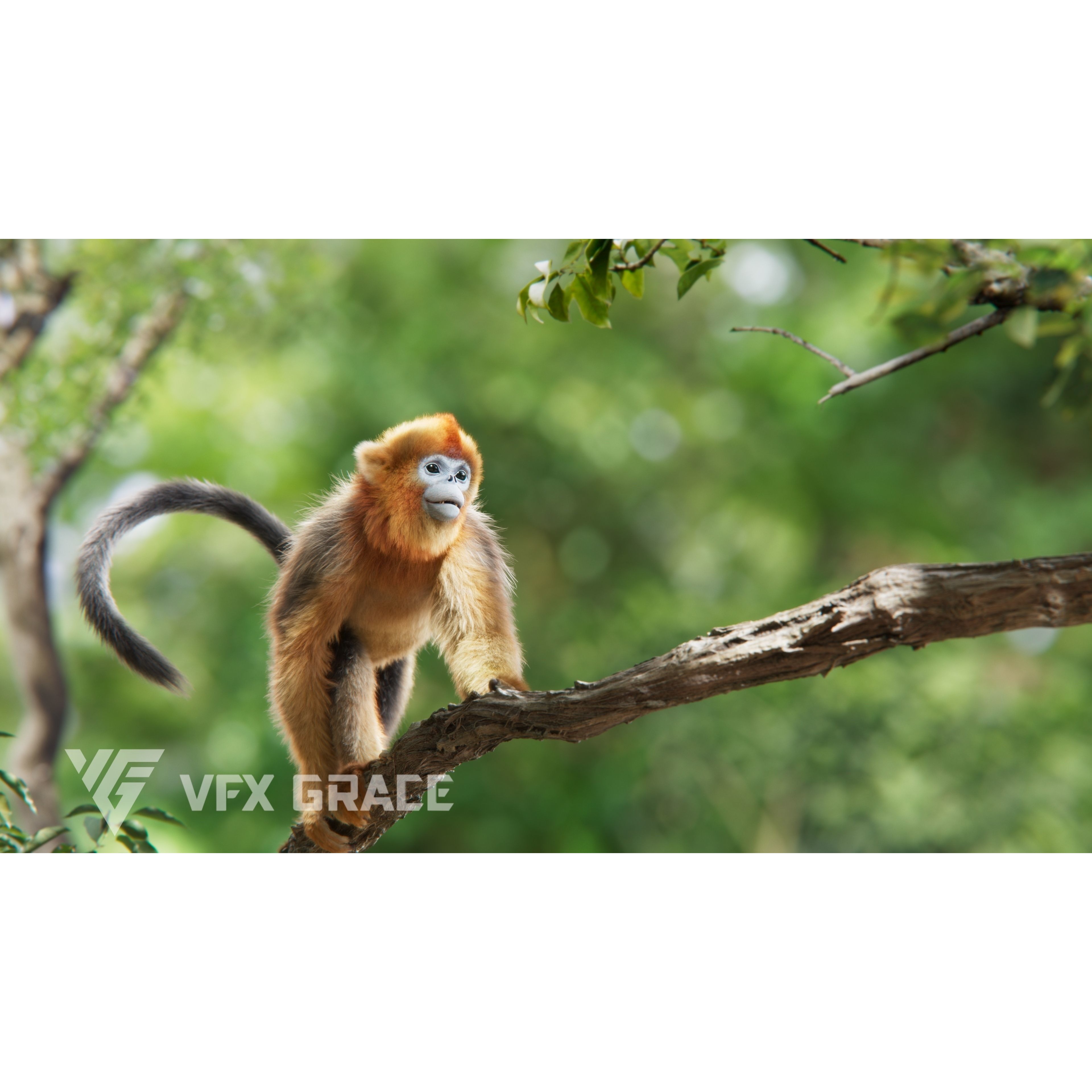 Golden Snub-nosed Monkey Animated 3D model 2