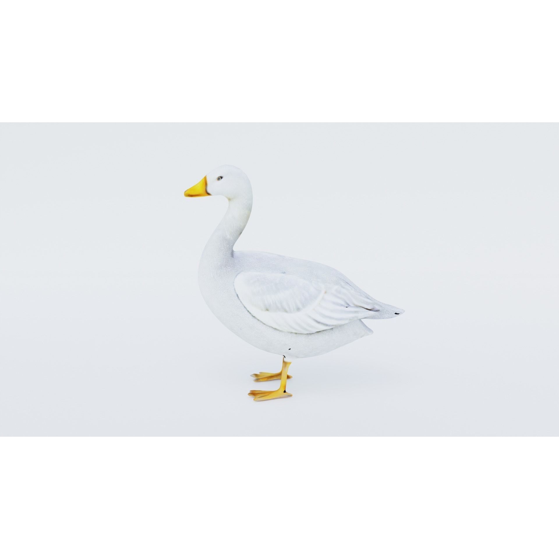 Goose Free 3D model 2