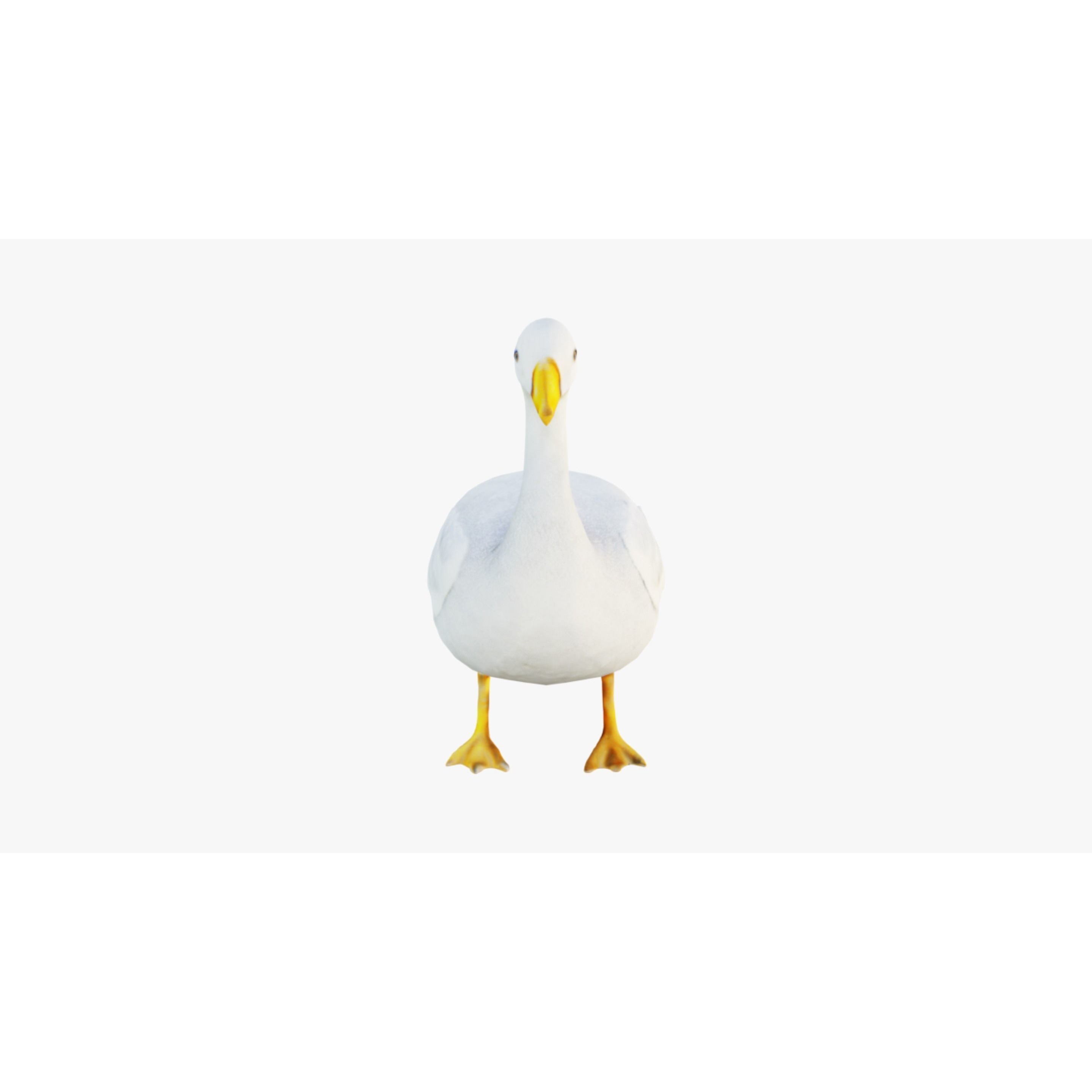 Goose Free 3D model 3