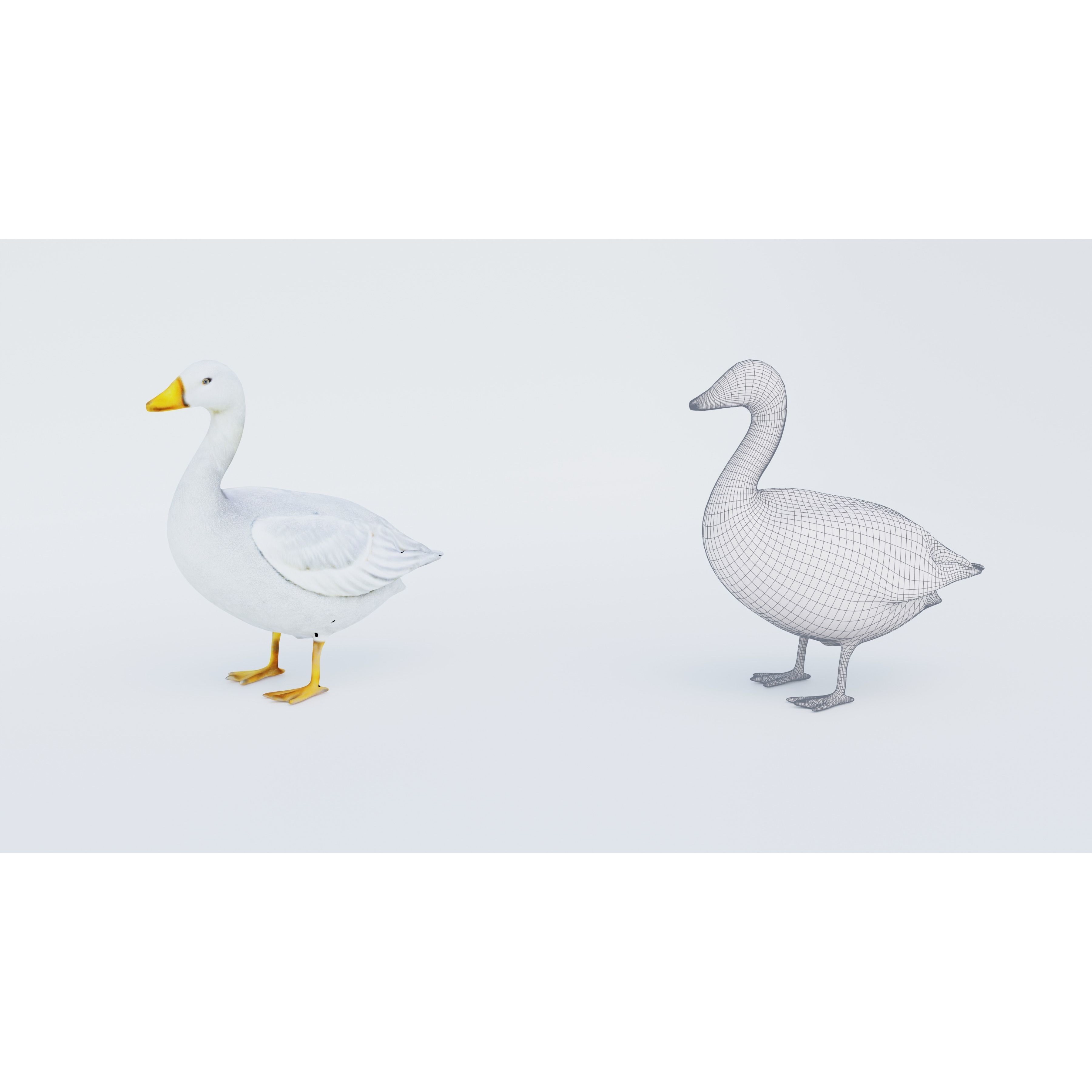 Goose Free 3D model 6