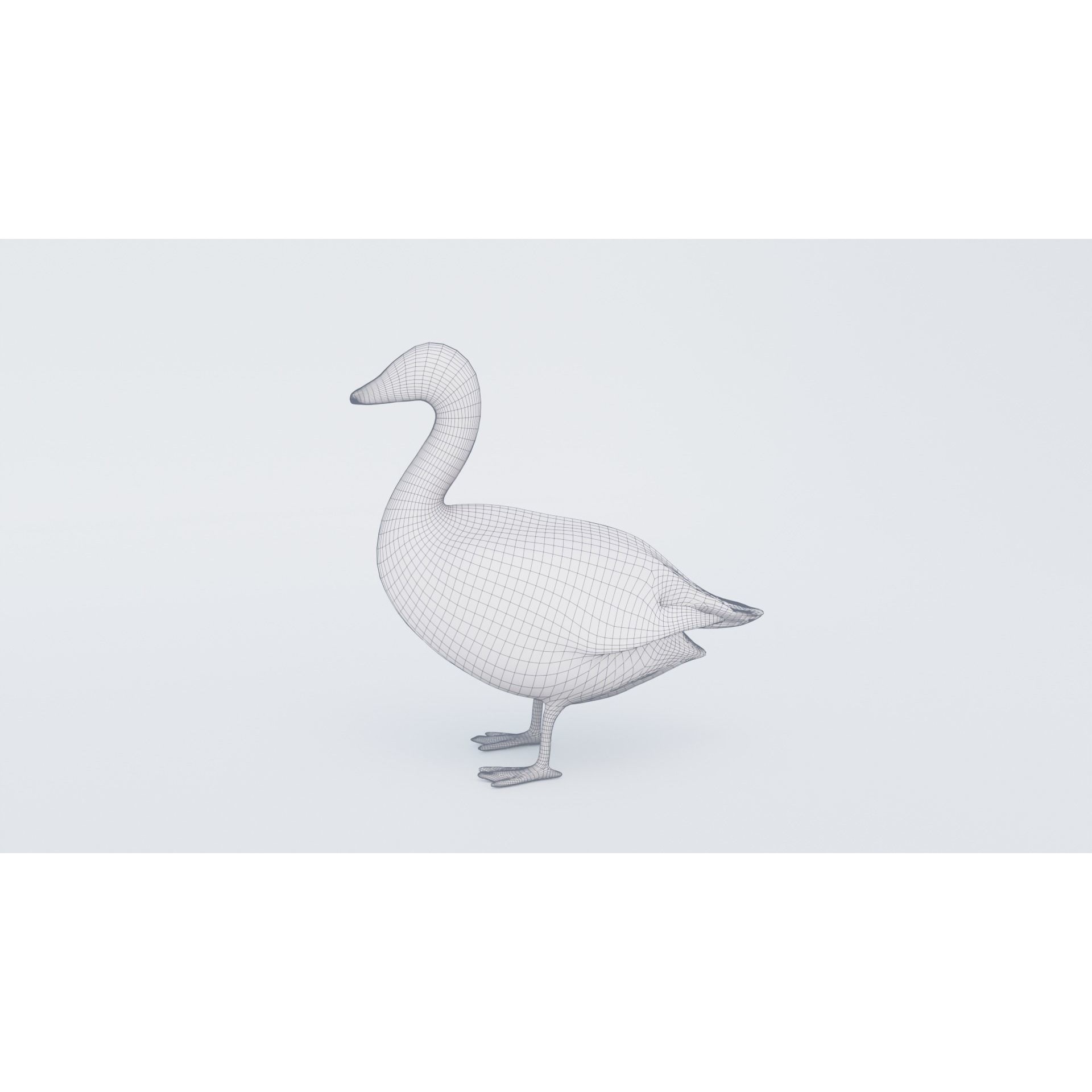 Goose Free 3D model 7