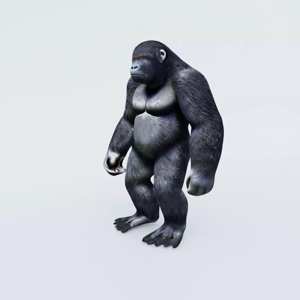 Gorilla Free 3D model