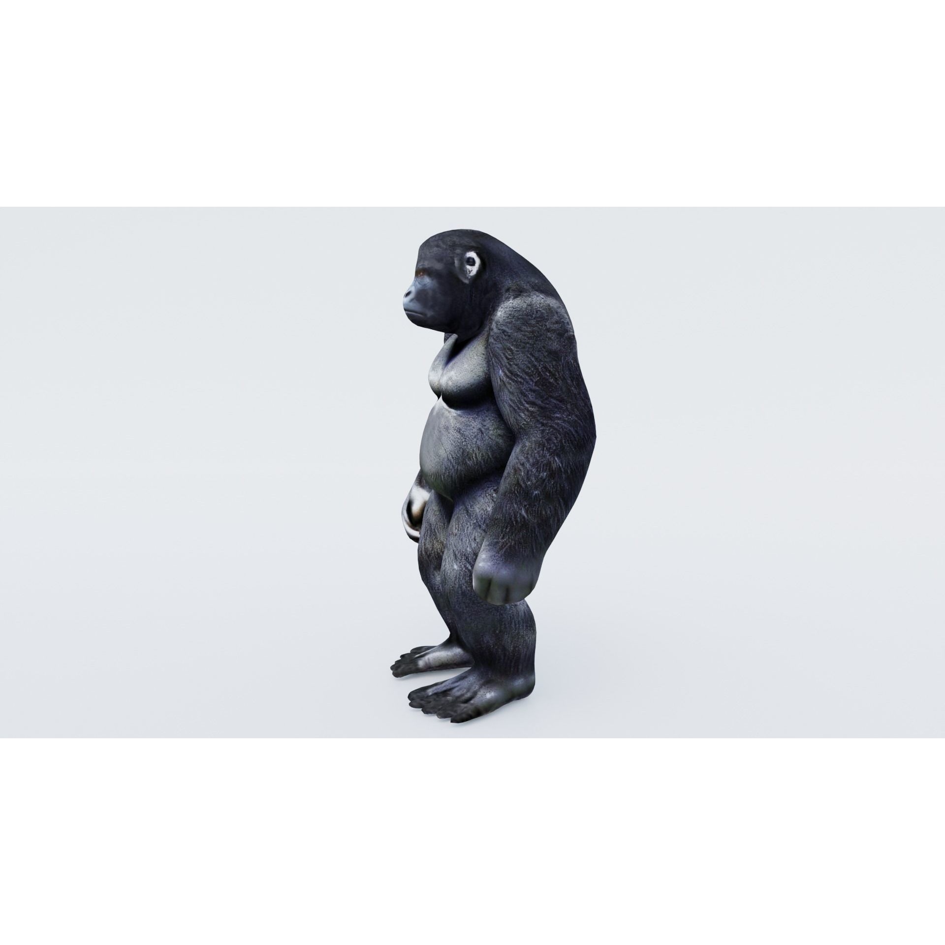 Gorilla Free 3D model 2