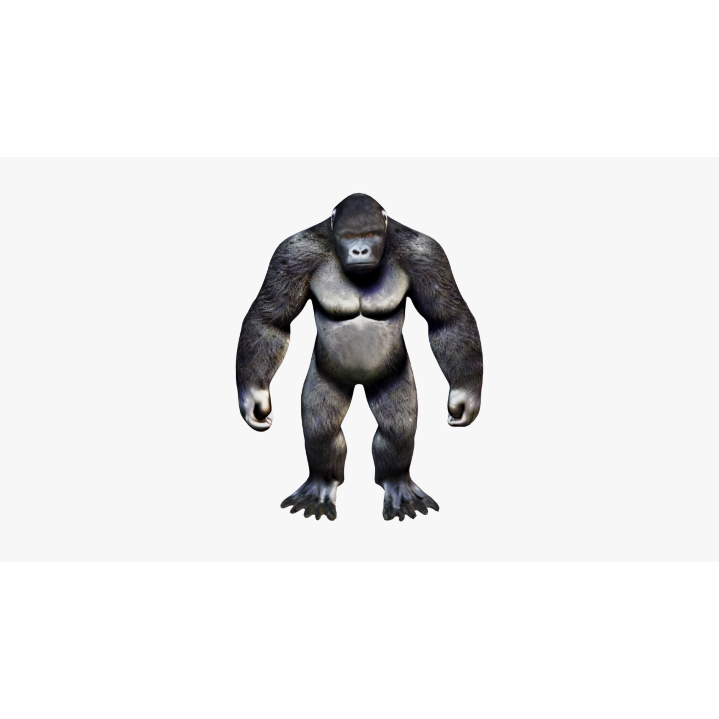 Gorilla Free 3D model 3