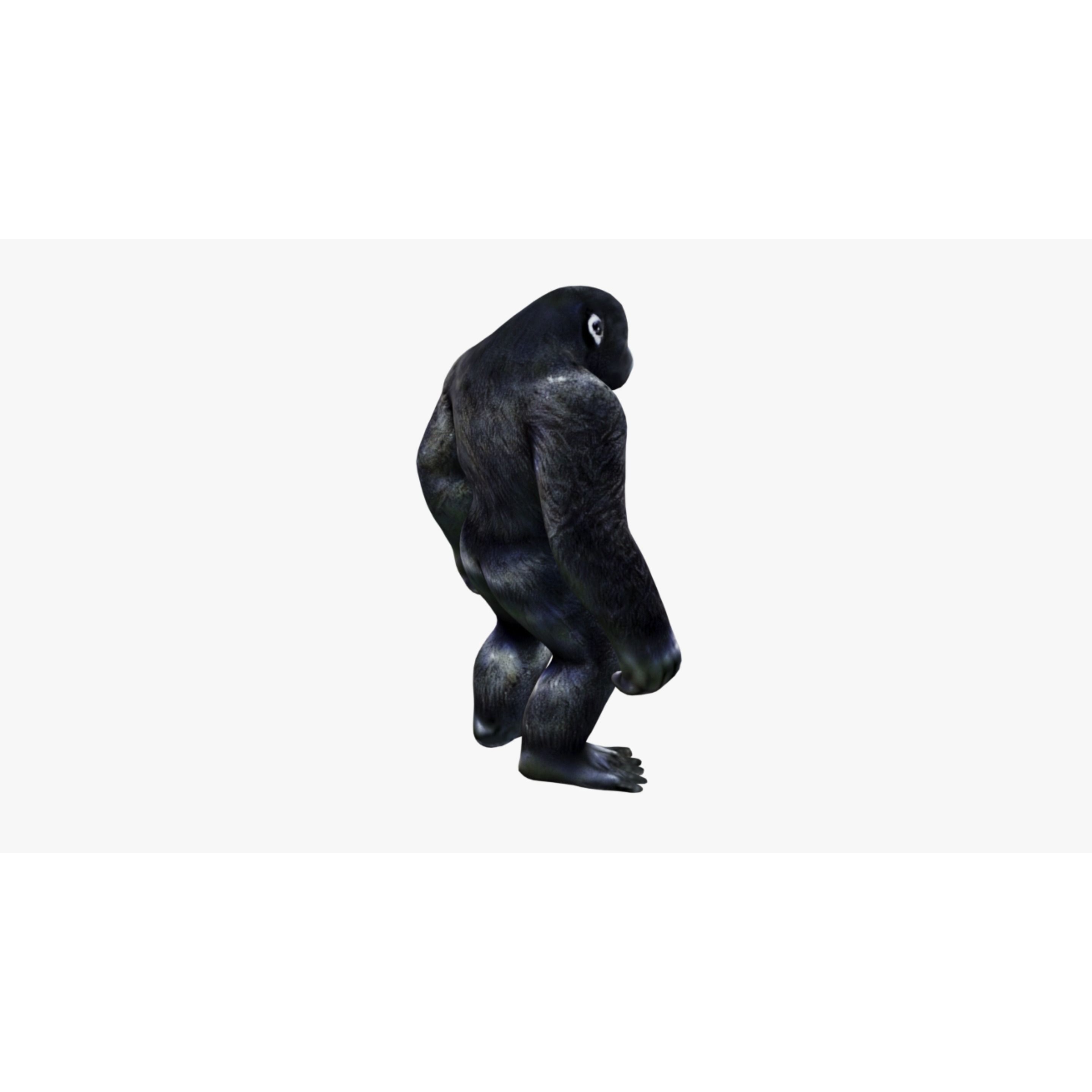 Gorilla Free 3D model 5