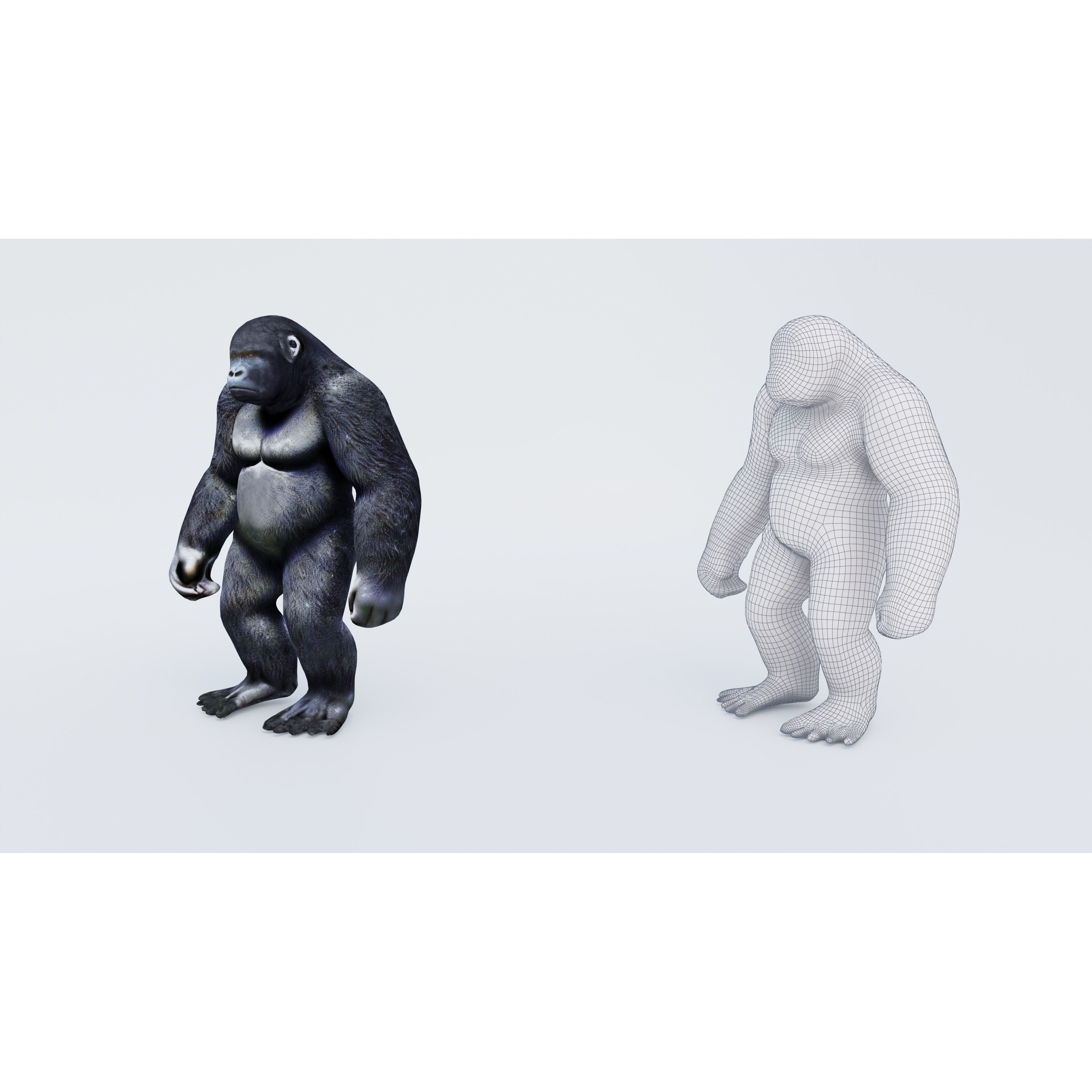 Gorilla Free 3D model 6