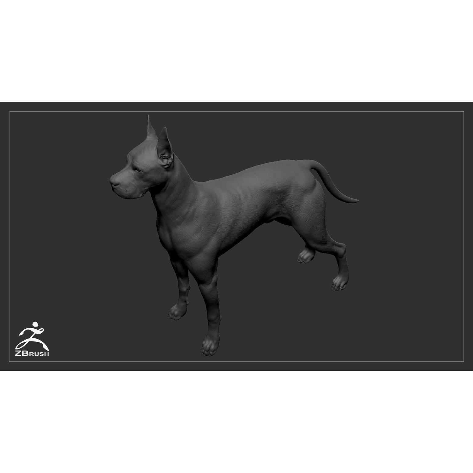 Great Dane High-Poly 3D print model 4