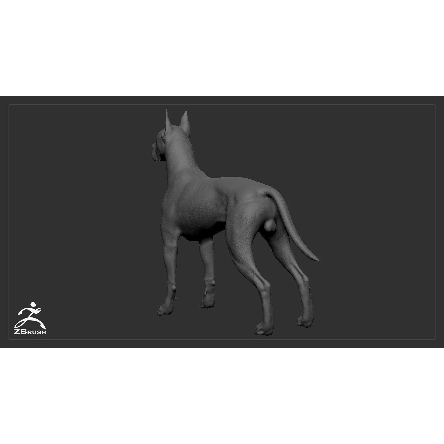Great Dane High-Poly 3D print model 6