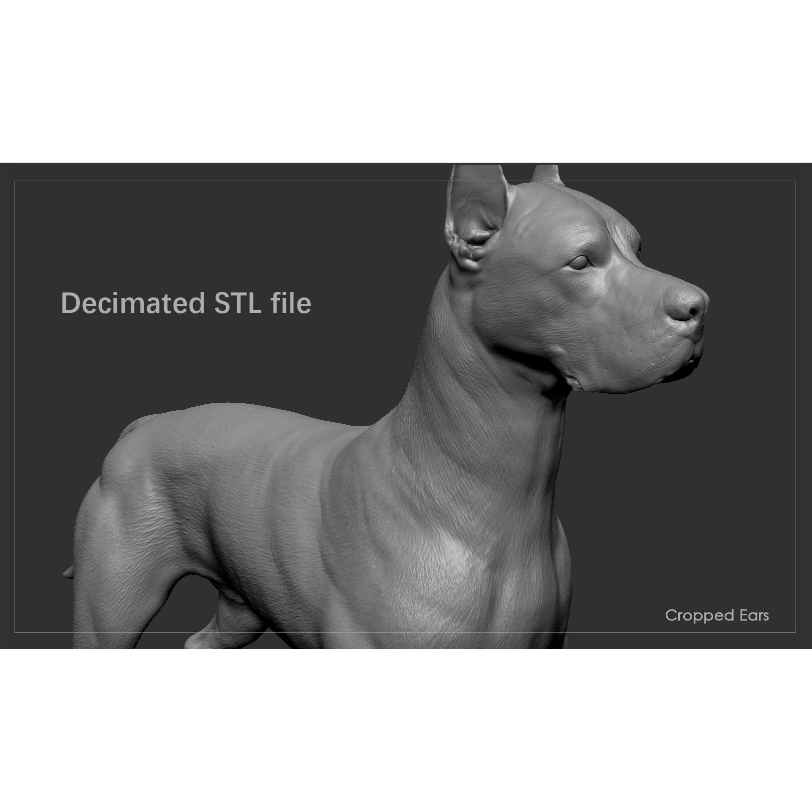 Great Dane High-Poly 3D print model 8