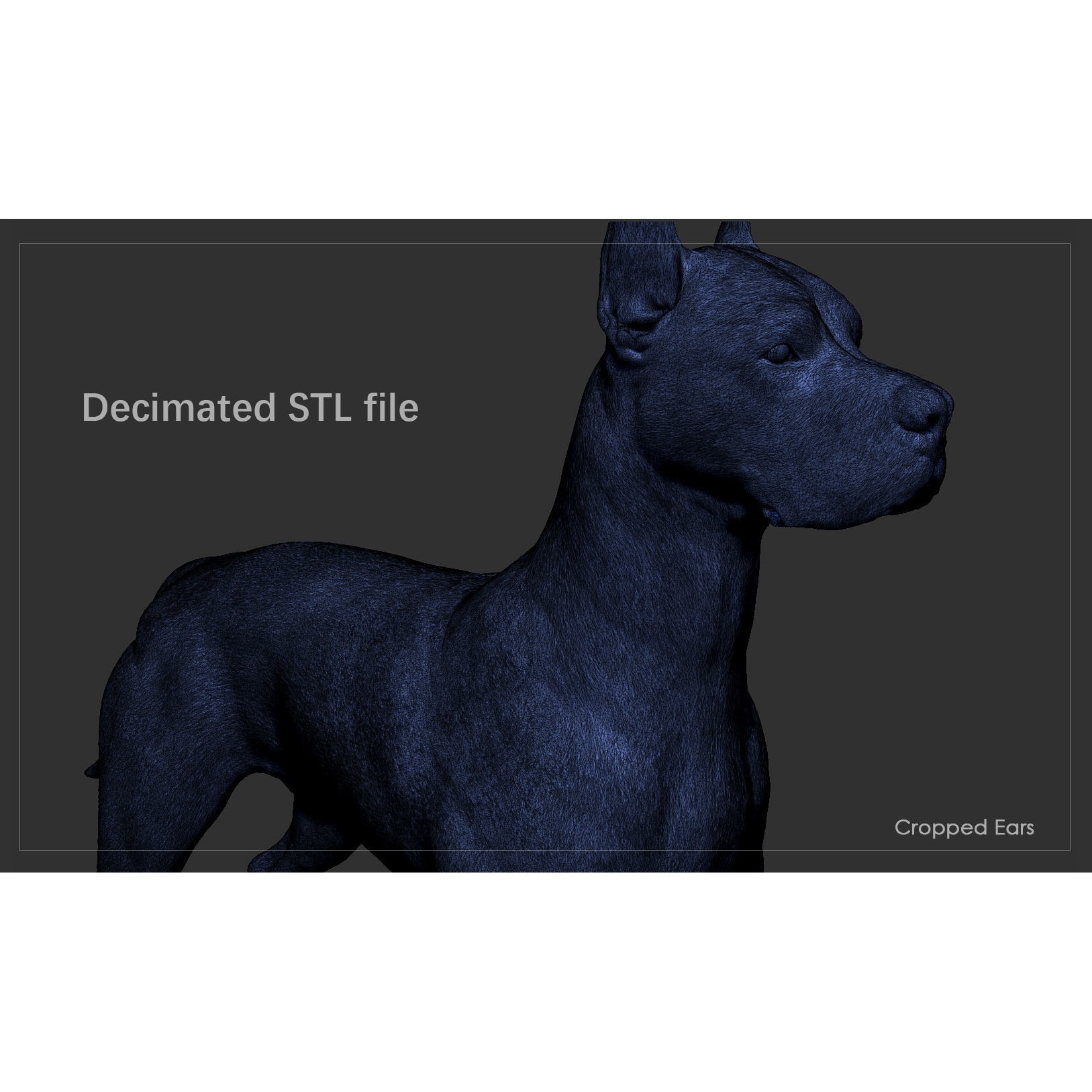 Great Dane High-Poly 3D print model 9