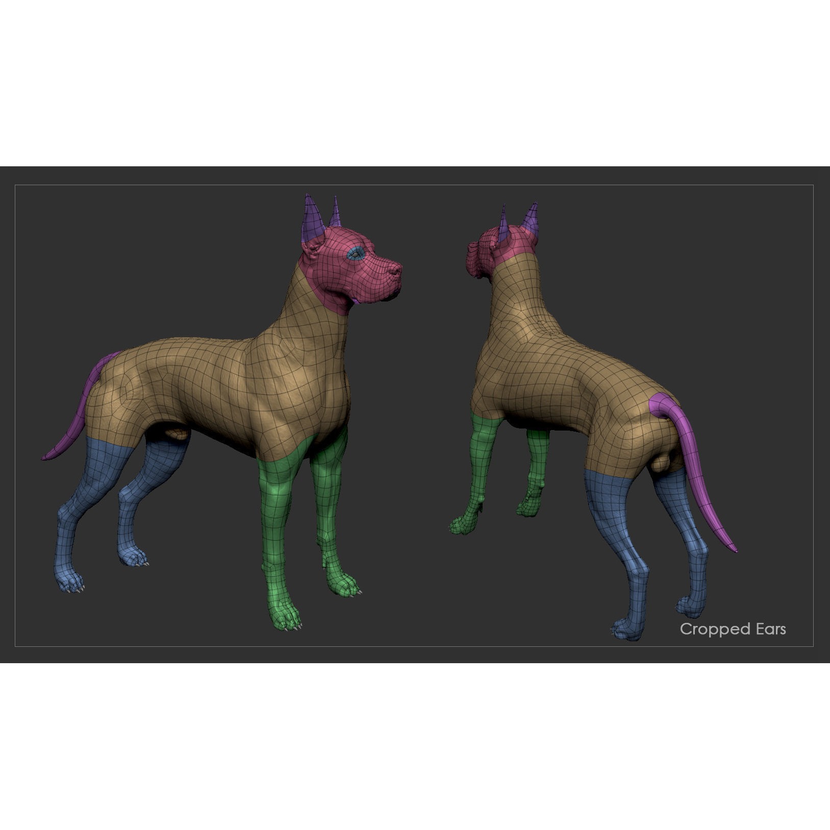 Great Dane High-Poly 3D print model 10