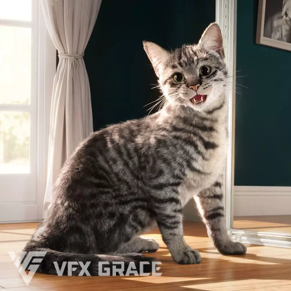 Grey Cat Animated VFX Grace 3D model
