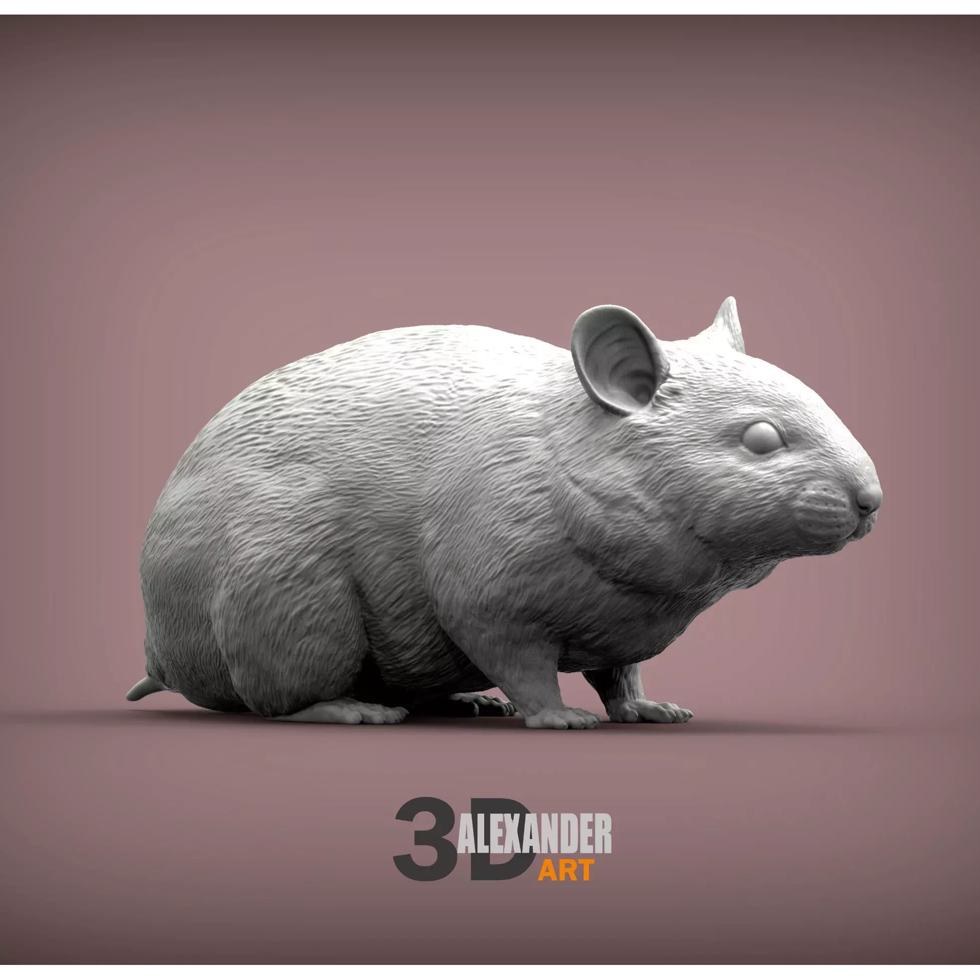 Hamster 3D print model