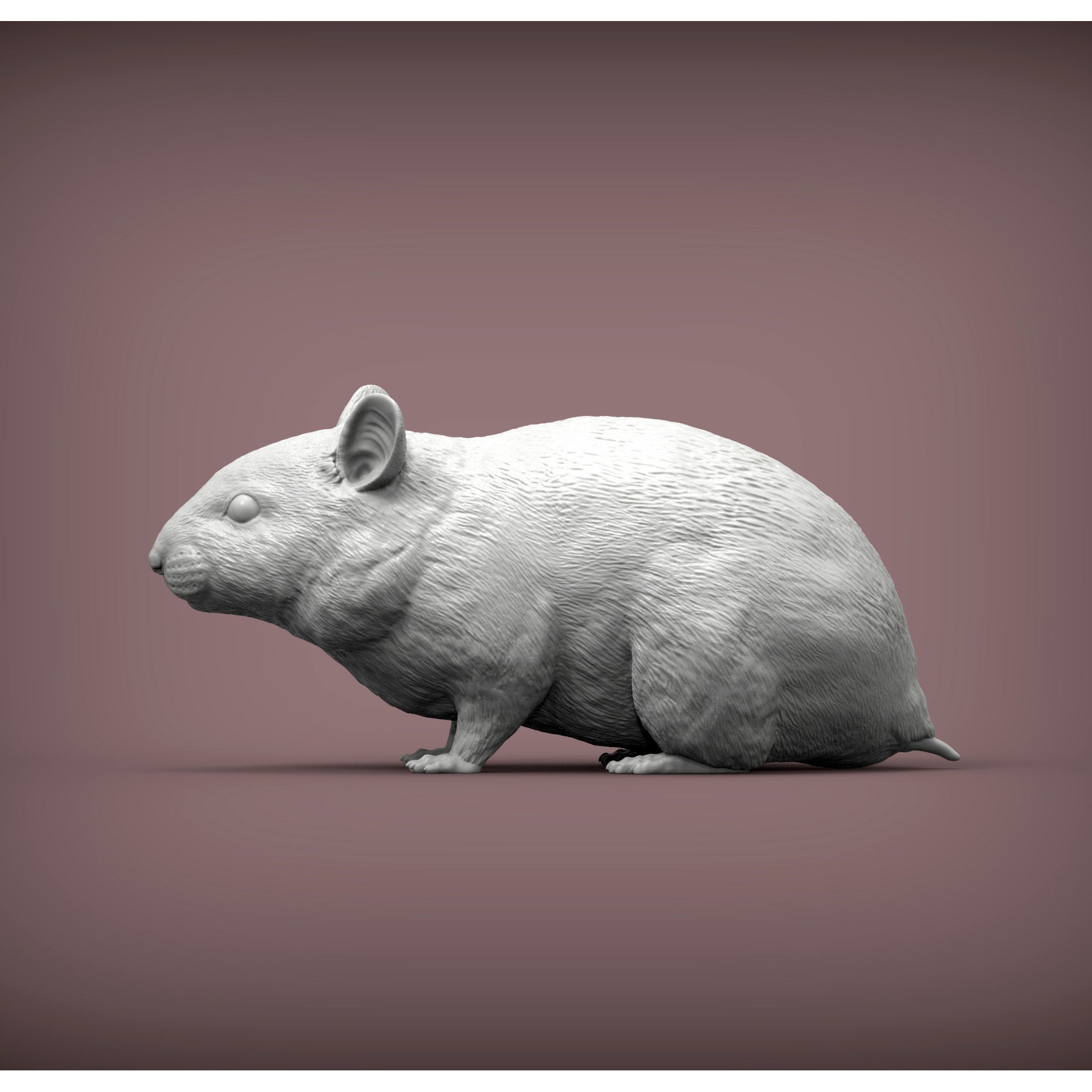 Hamster 3D print model 3