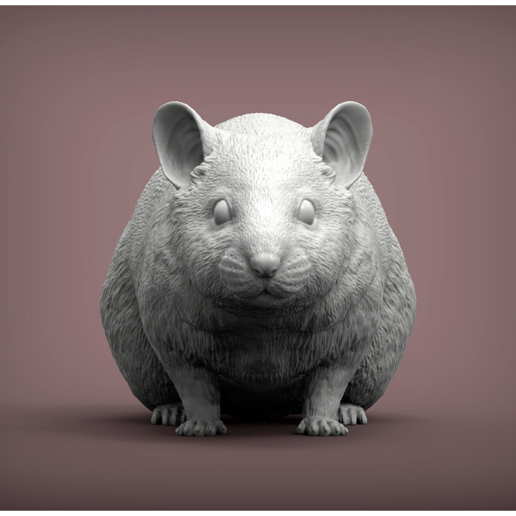 Hamster 3D print model 4