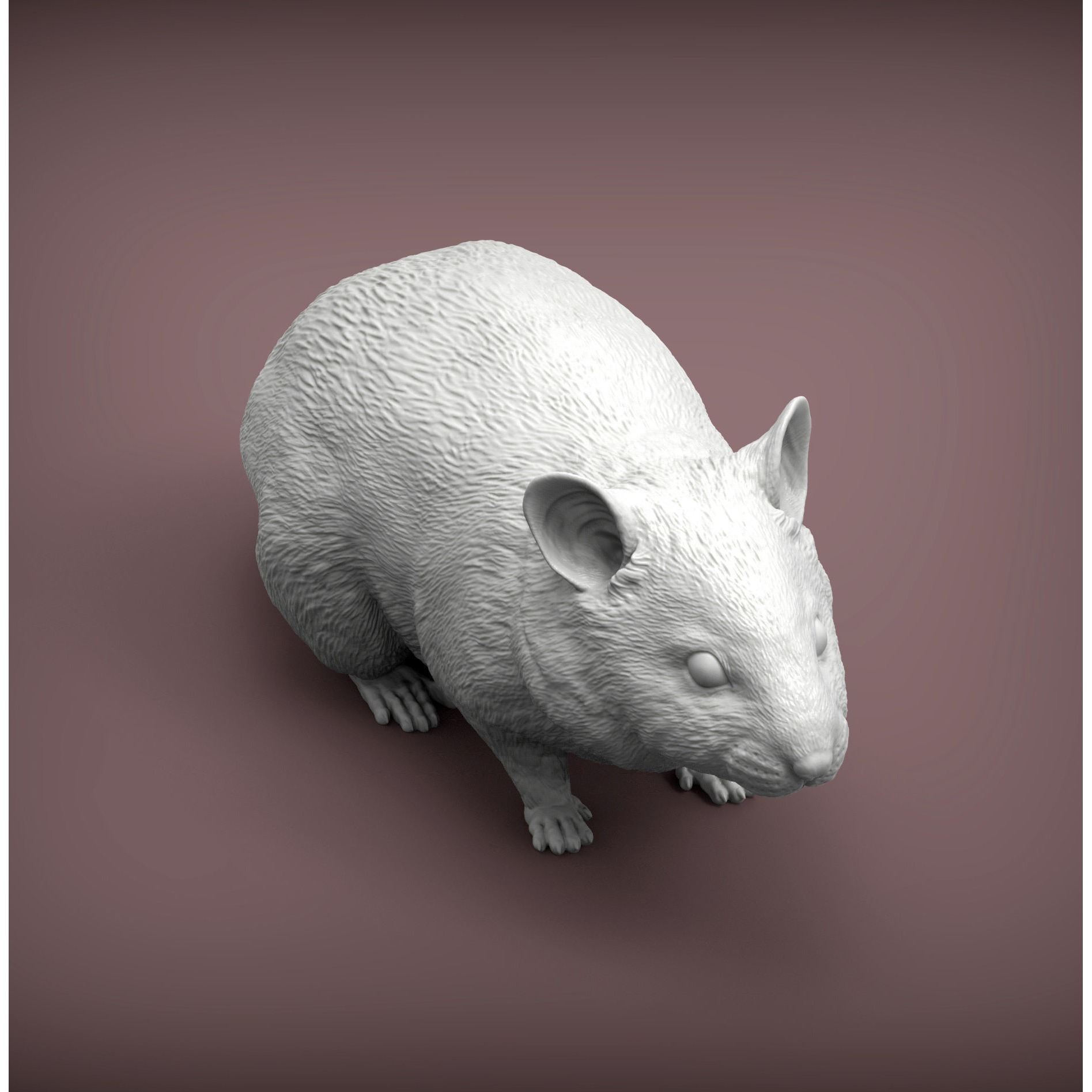 Hamster 3D print model 5
