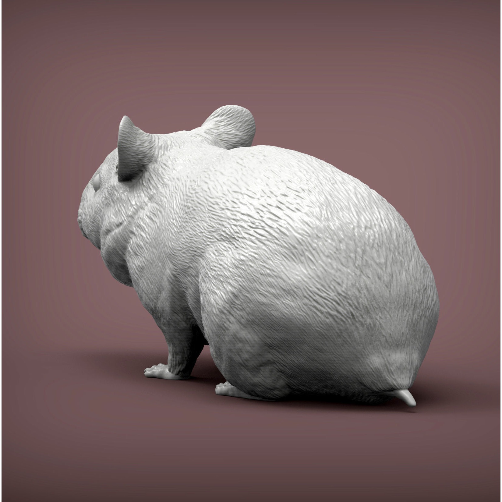 Hamster 3D print model 6