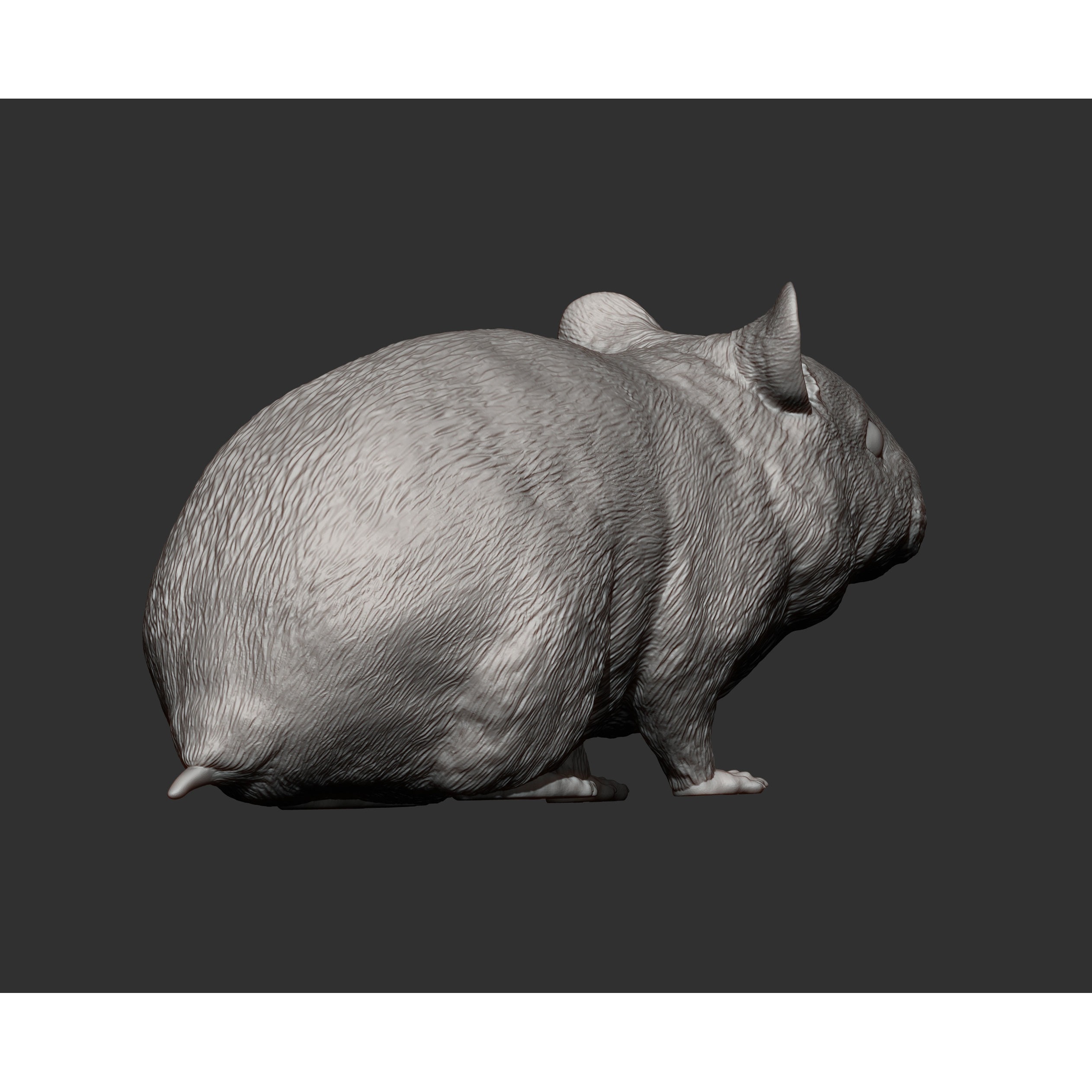Hamster 3D print model 8