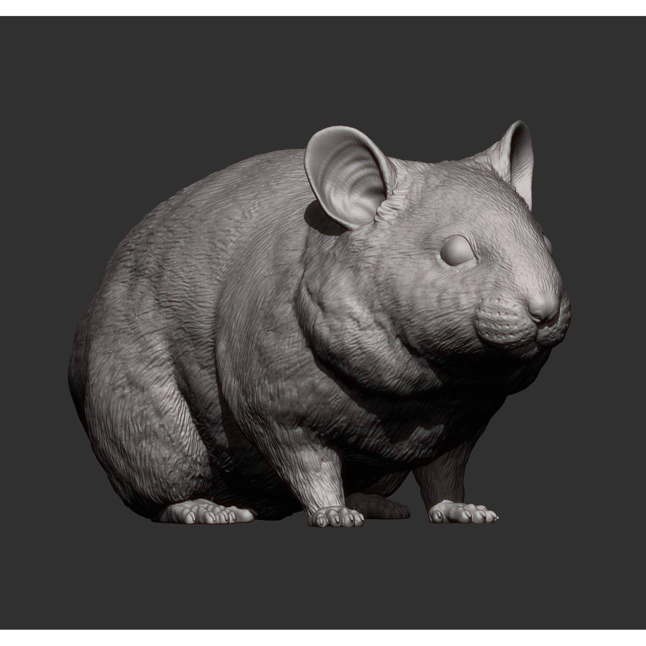 Hamster 3D print model 9