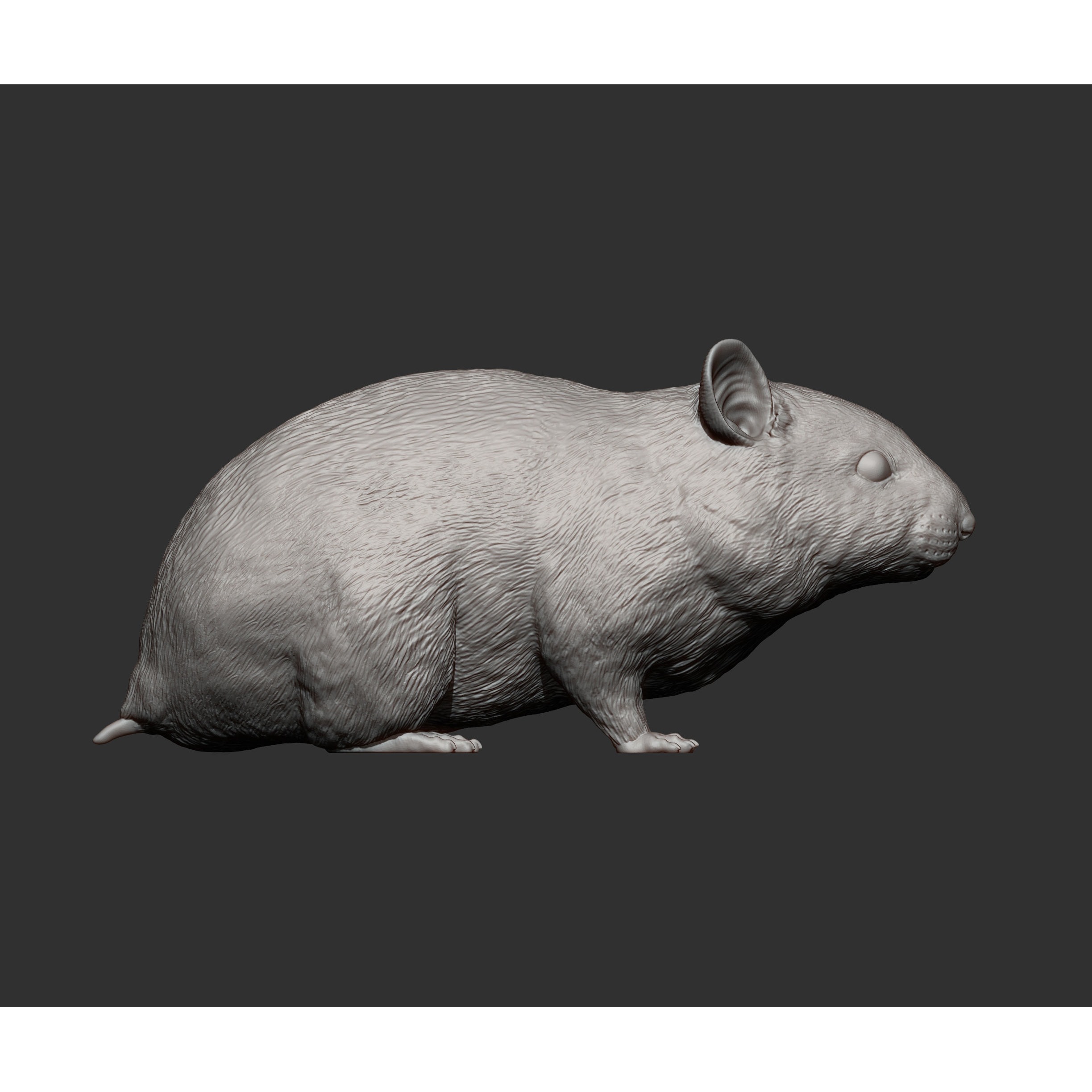Hamster 3D print model 10