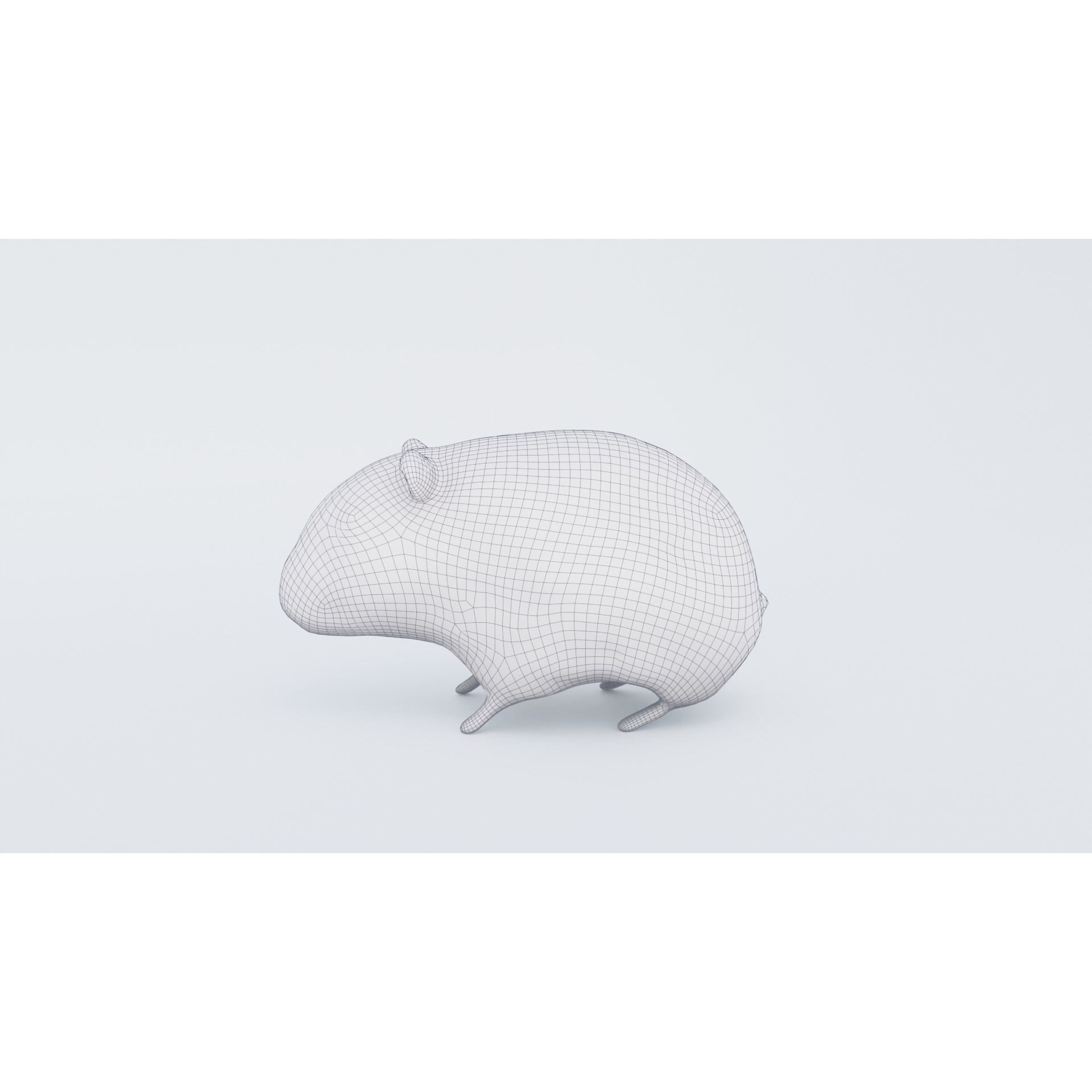 Hamster Free 3D model 7