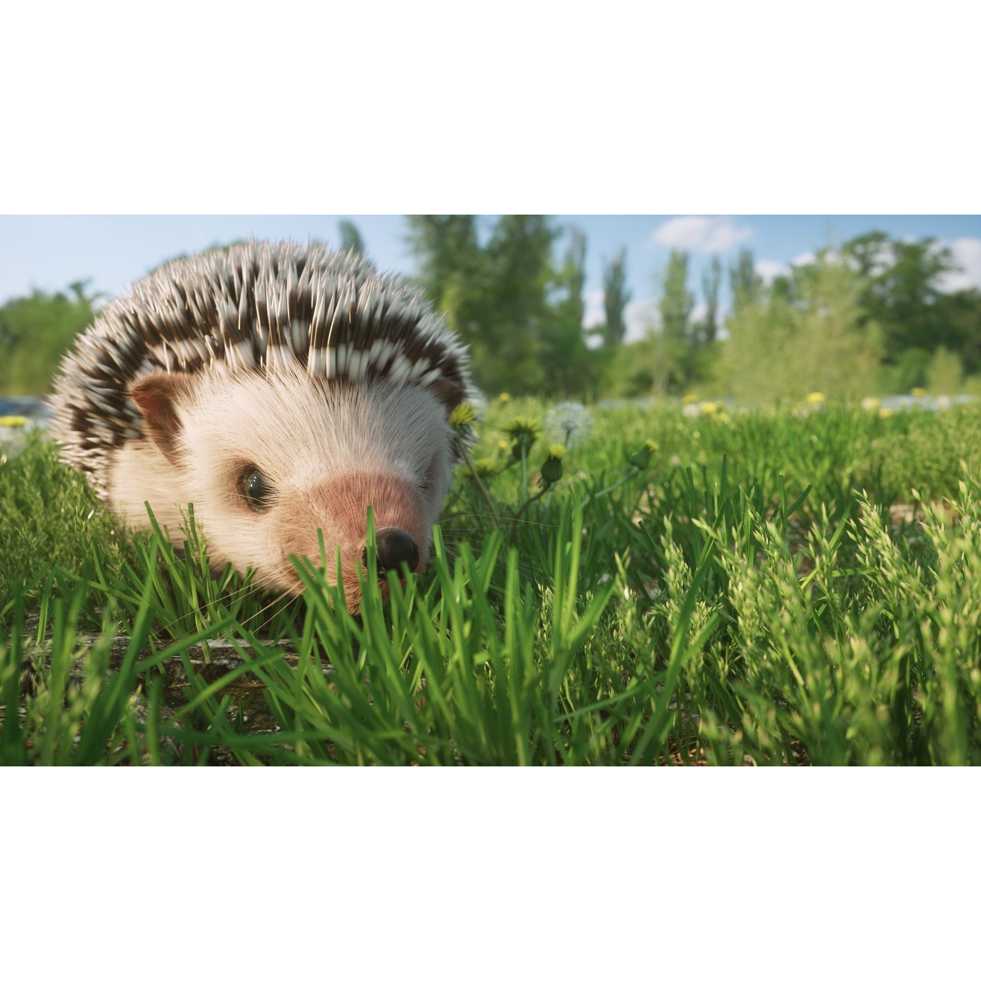 Hedgehog for Vray and Octane 3D model 2