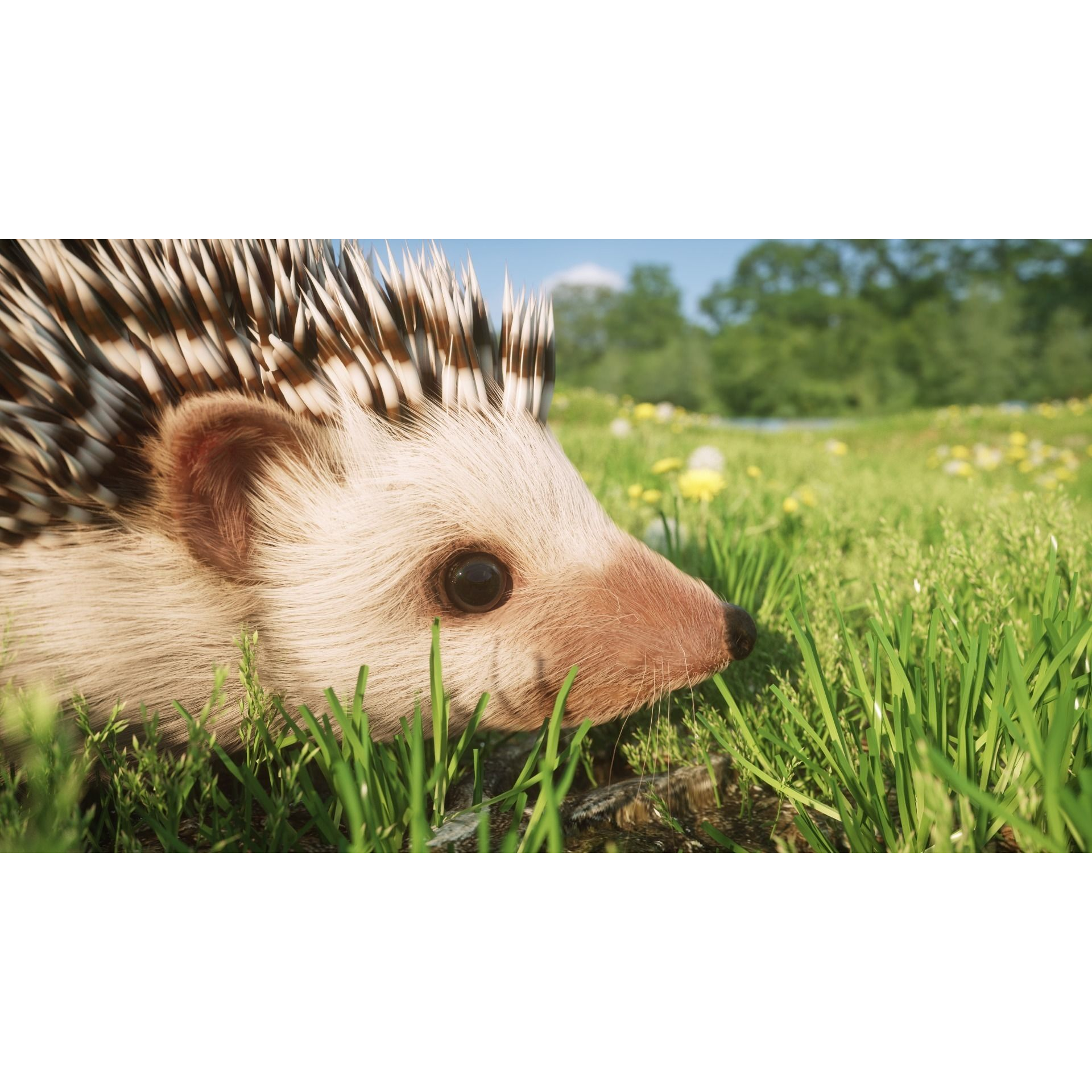 Hedgehog for Vray and Octane 3D model 3