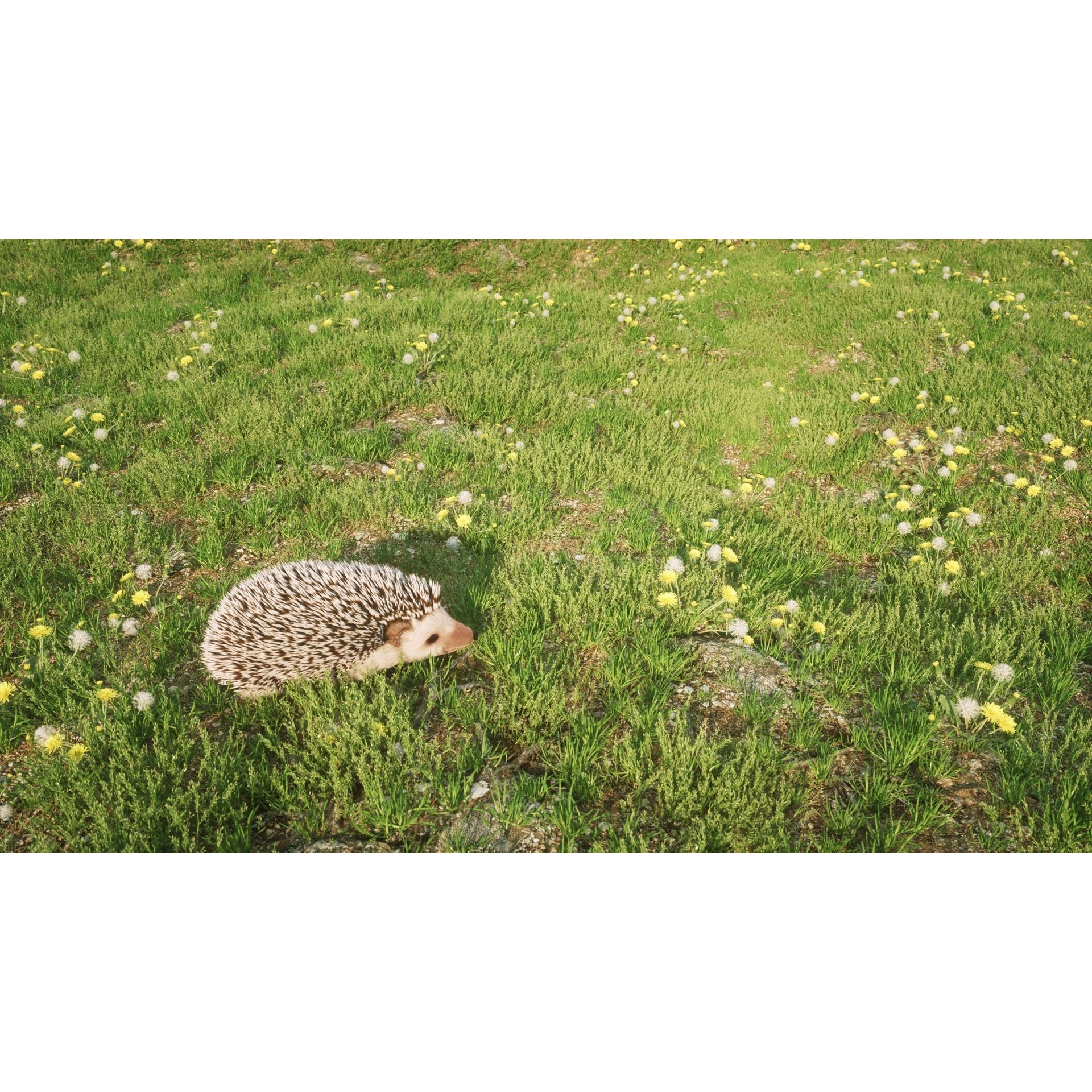Hedgehog for Vray and Octane 3D model 4